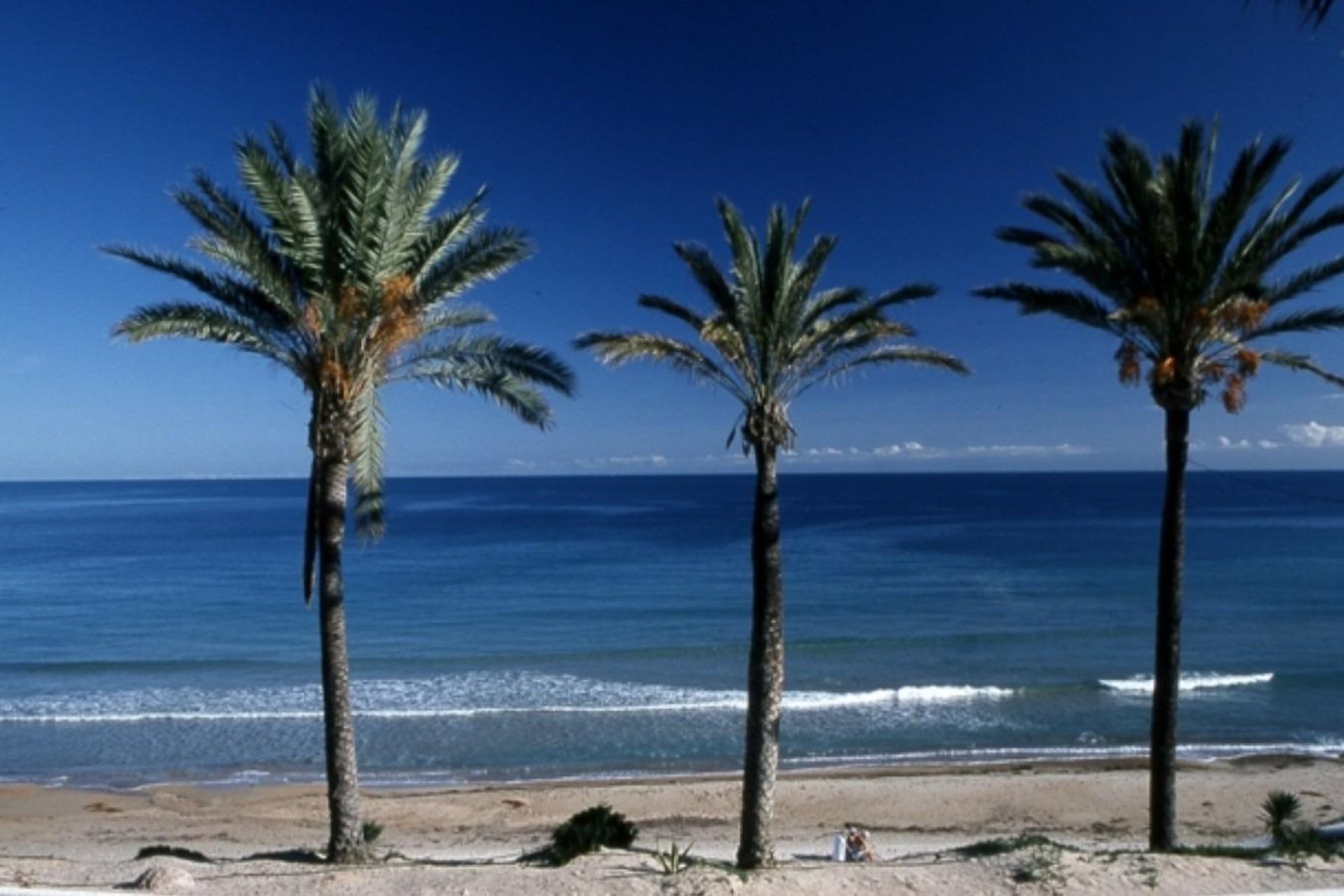 Nyproduktion - Bungalow -
Pilar de la Horadada - Parque Ramon eugenio Escudero