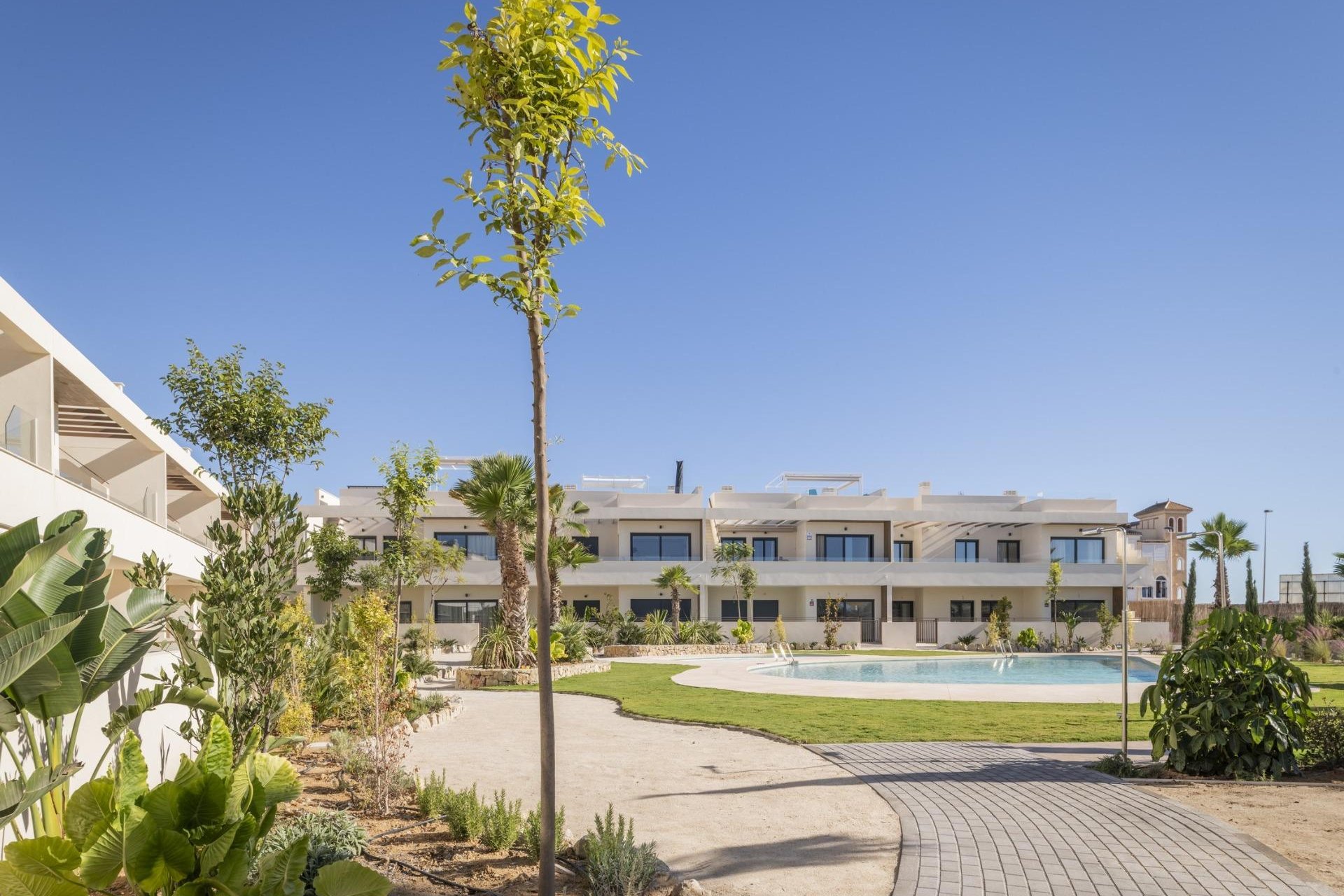 Nyproduktion - Bungalow -
Torrevieja - Villa Amalia