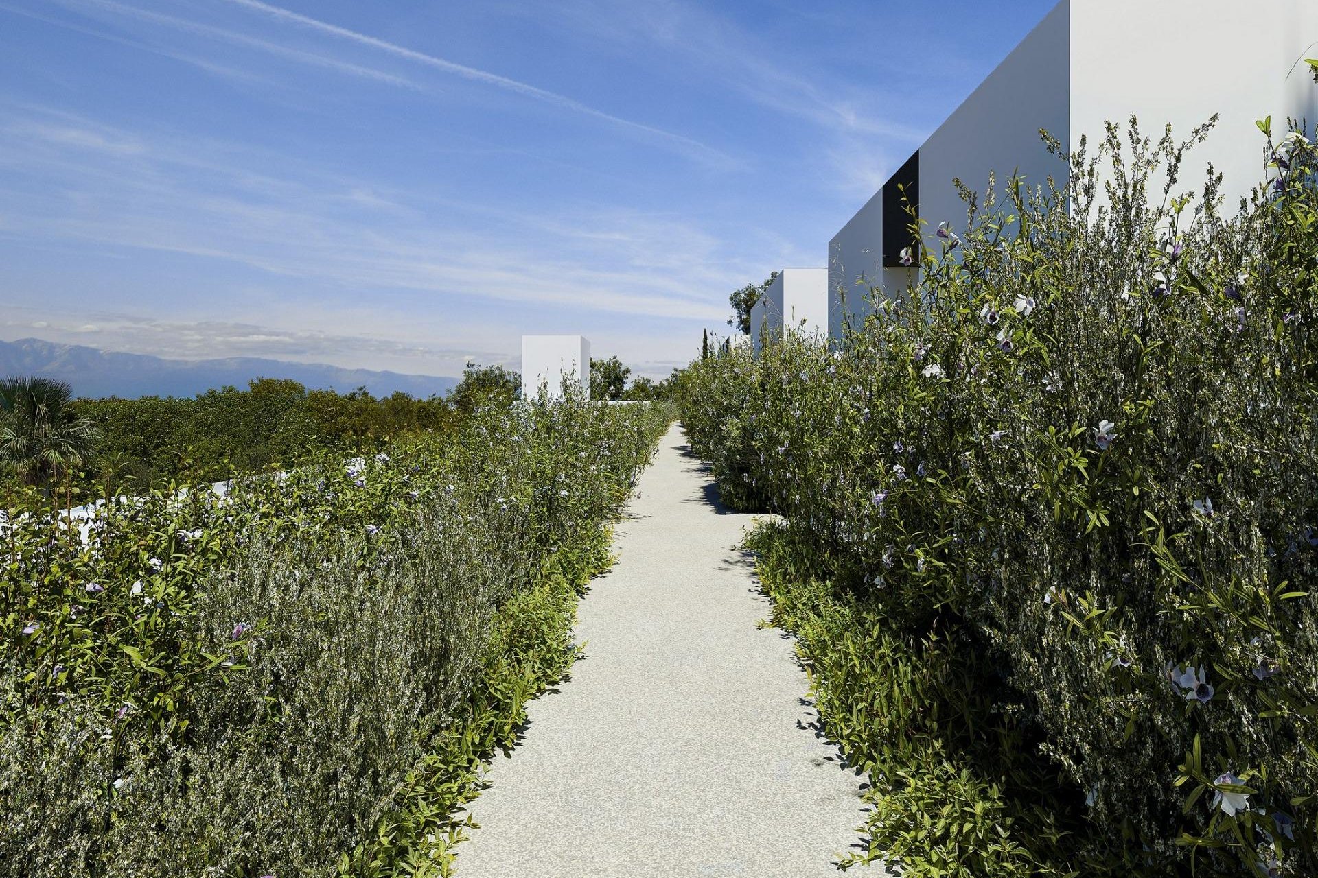 Nyproduktion - Villa -
Alfas del Pí - Barranc Fondo