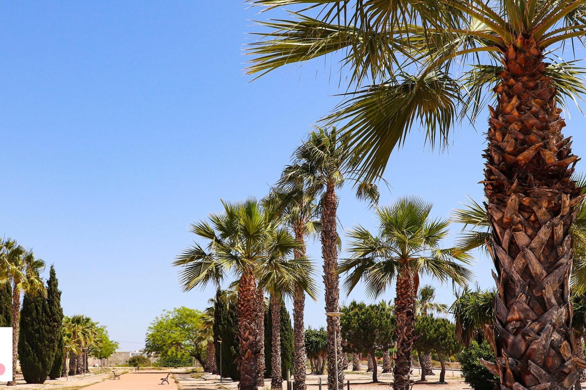 Nyproduktion - Villa -
San Fulgencio - La Escuera