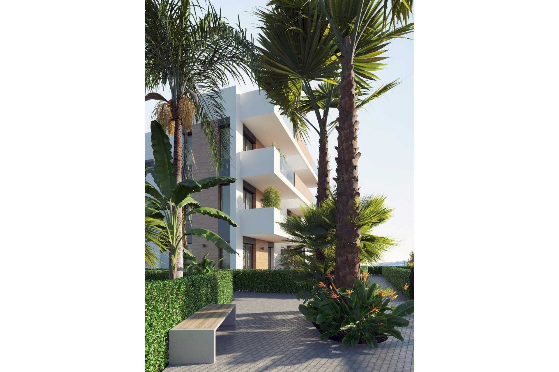 Obra nueva - Apartment -
Los Alcázares - Serena Golf