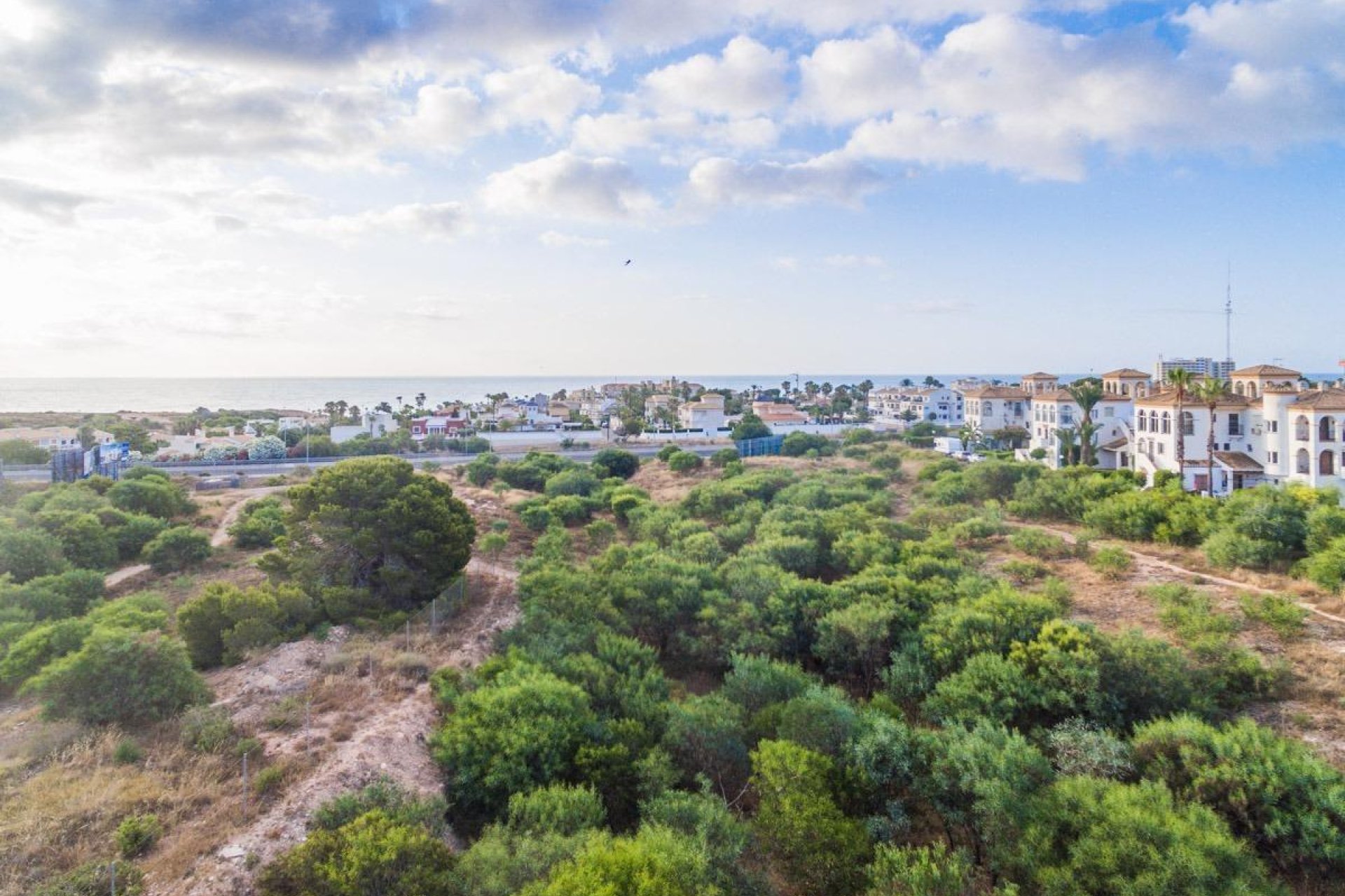 Obra nueva - Apartment -
Orihuela Costa - Playa Flamenca