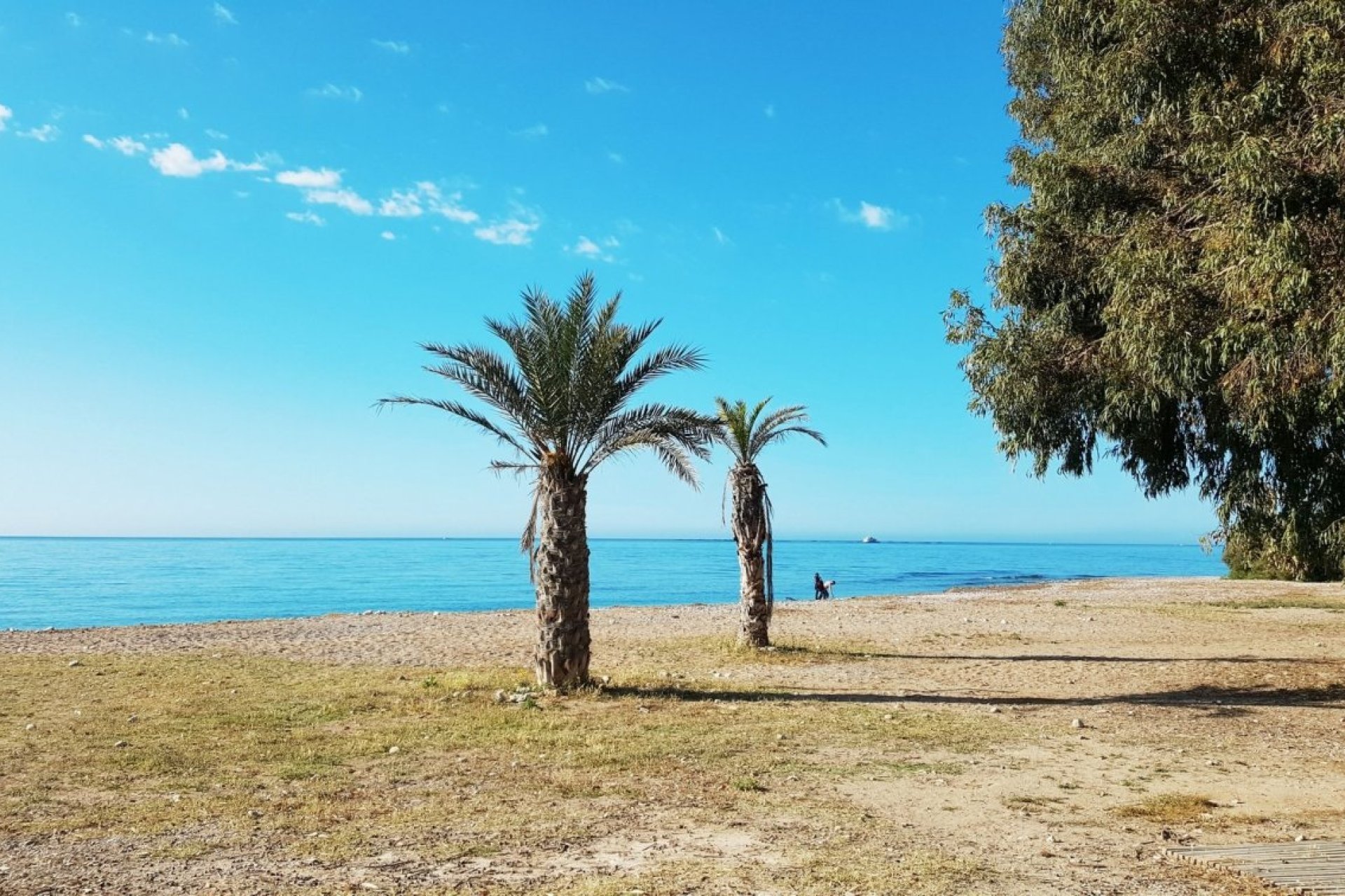 Obra nueva - Apartment -
Villajoyosa - Playas Del Torres