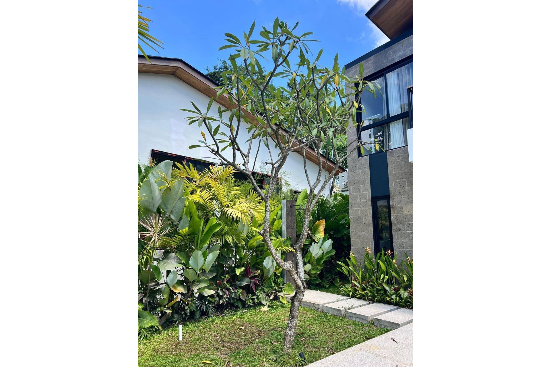 Obra nueva - Detached villa -
Bali - Tabanan