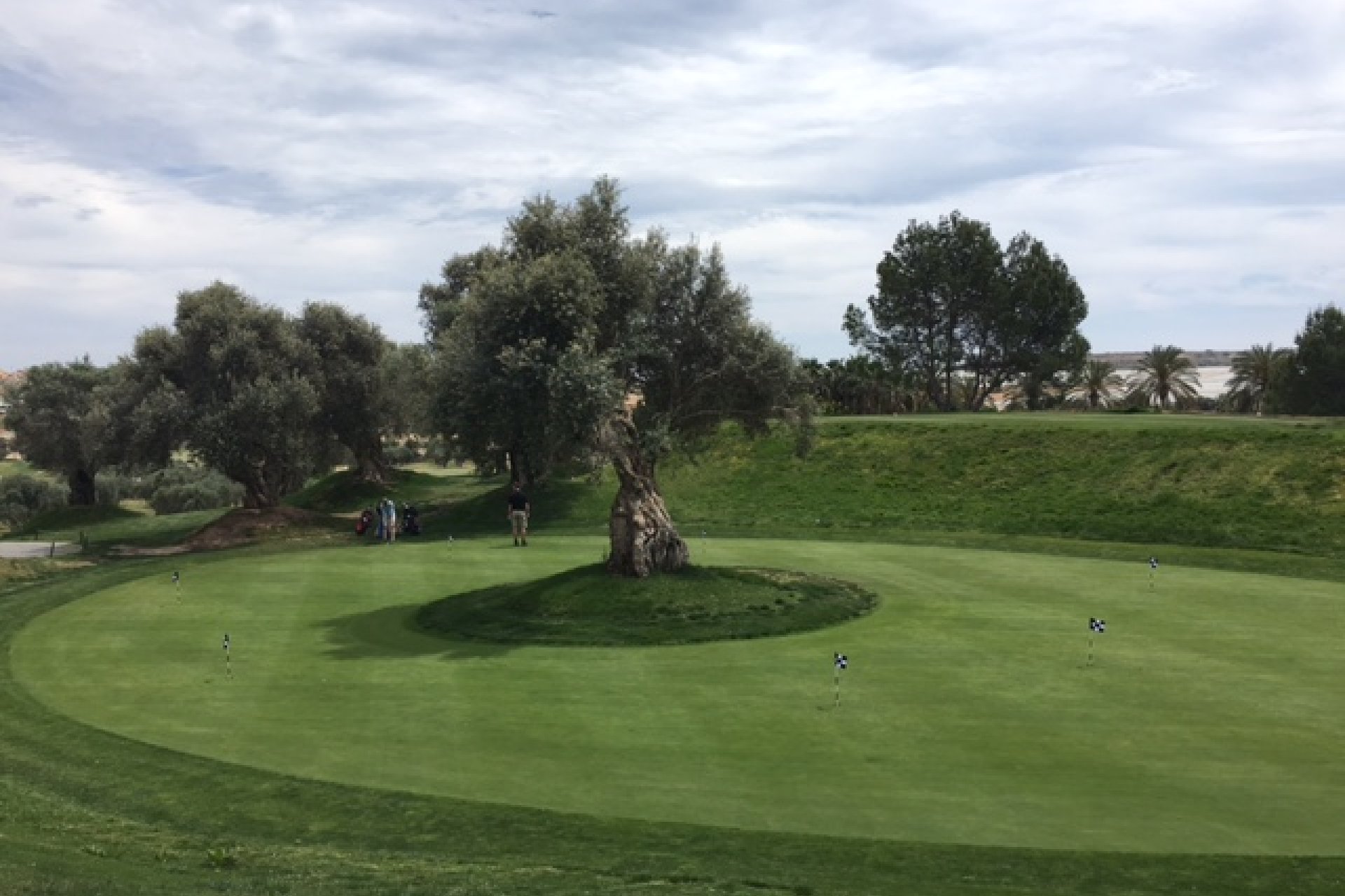 Obra nueva - Villa -
Algorfa