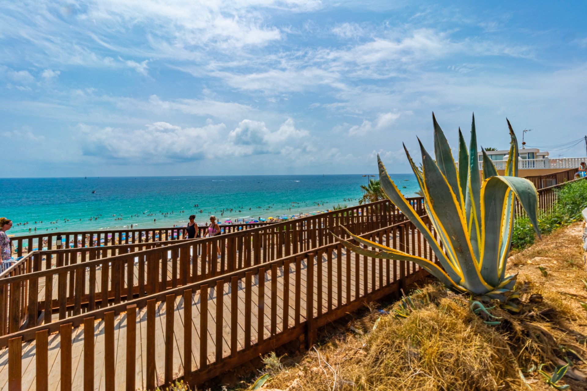 Obra nueva - Villa -
La Zenia