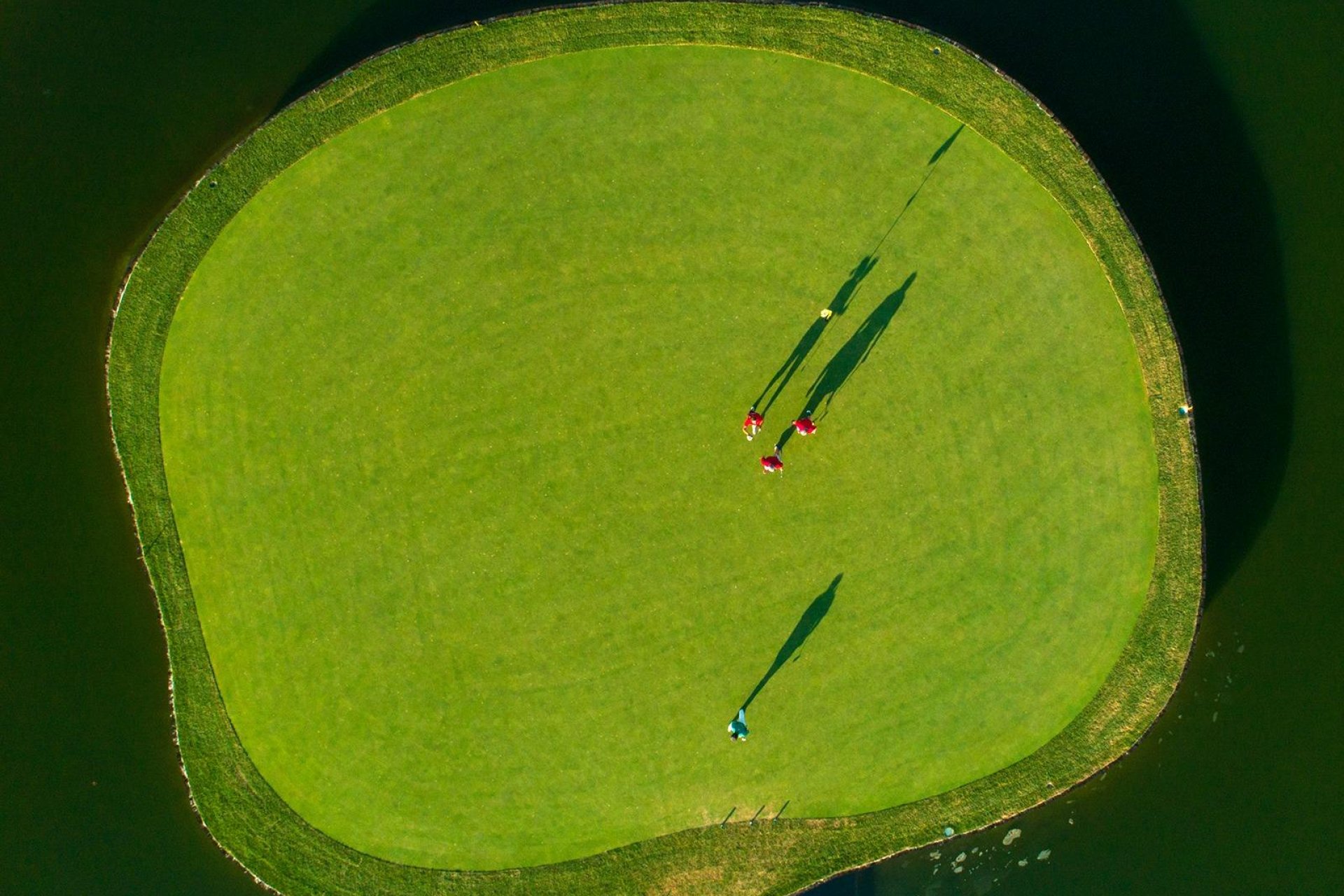 Obra nueva - Villa -
Pilar de la Horadada - Lo Romero Golf