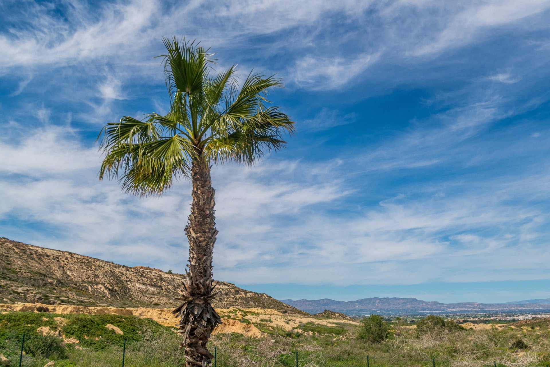 Resale - Apartment -
Algorfa - LA FINCA GOLF / ALGORFA