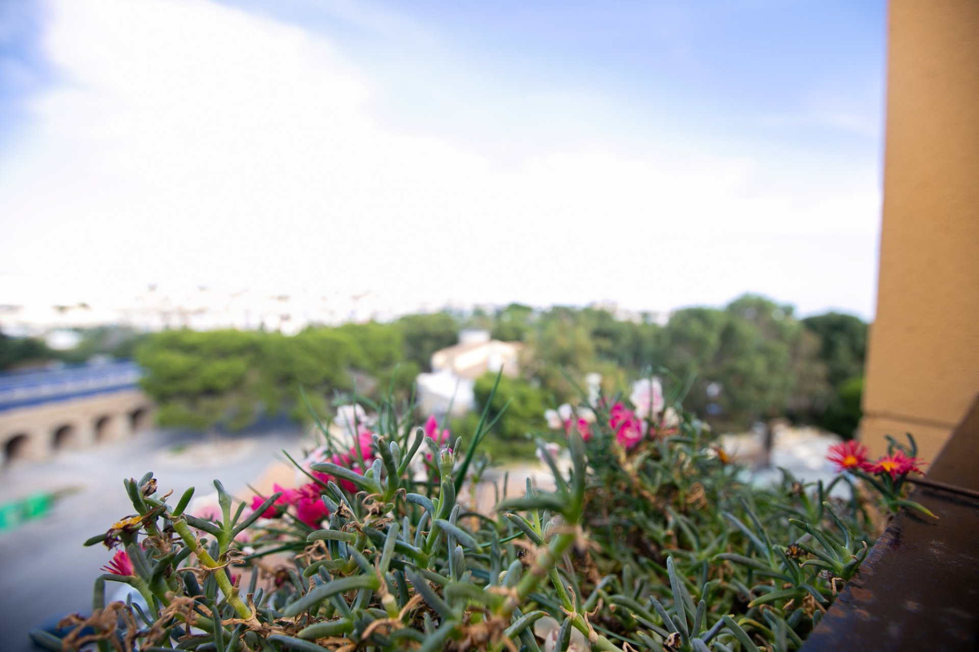 Resale - Apartment -
La Zenia