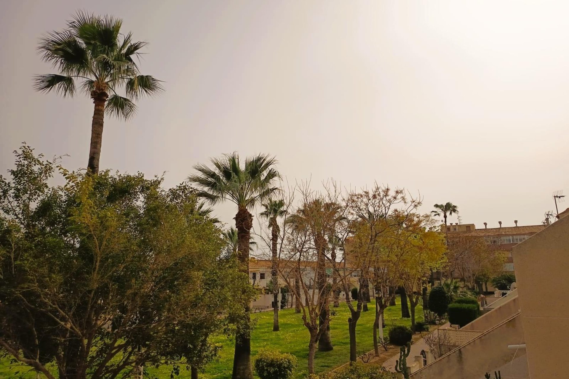 Resale - Apartment -
Orihuela Costa - La Regia