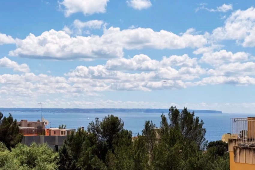 Resale - Apartment -
Palma - Sant Agustí