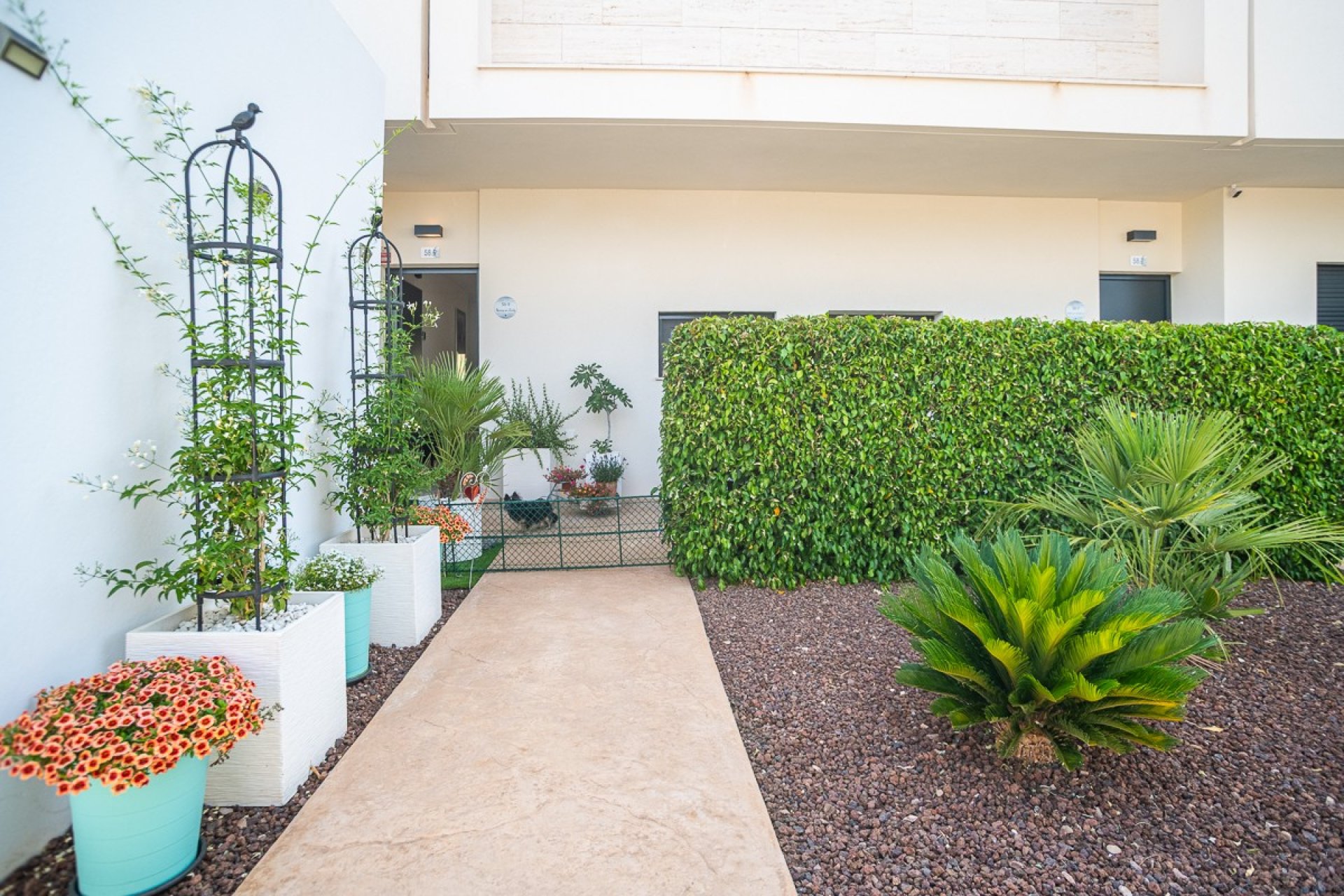 Resale - Apartment -
Pilar de la Horadada - Lo Romero Golf