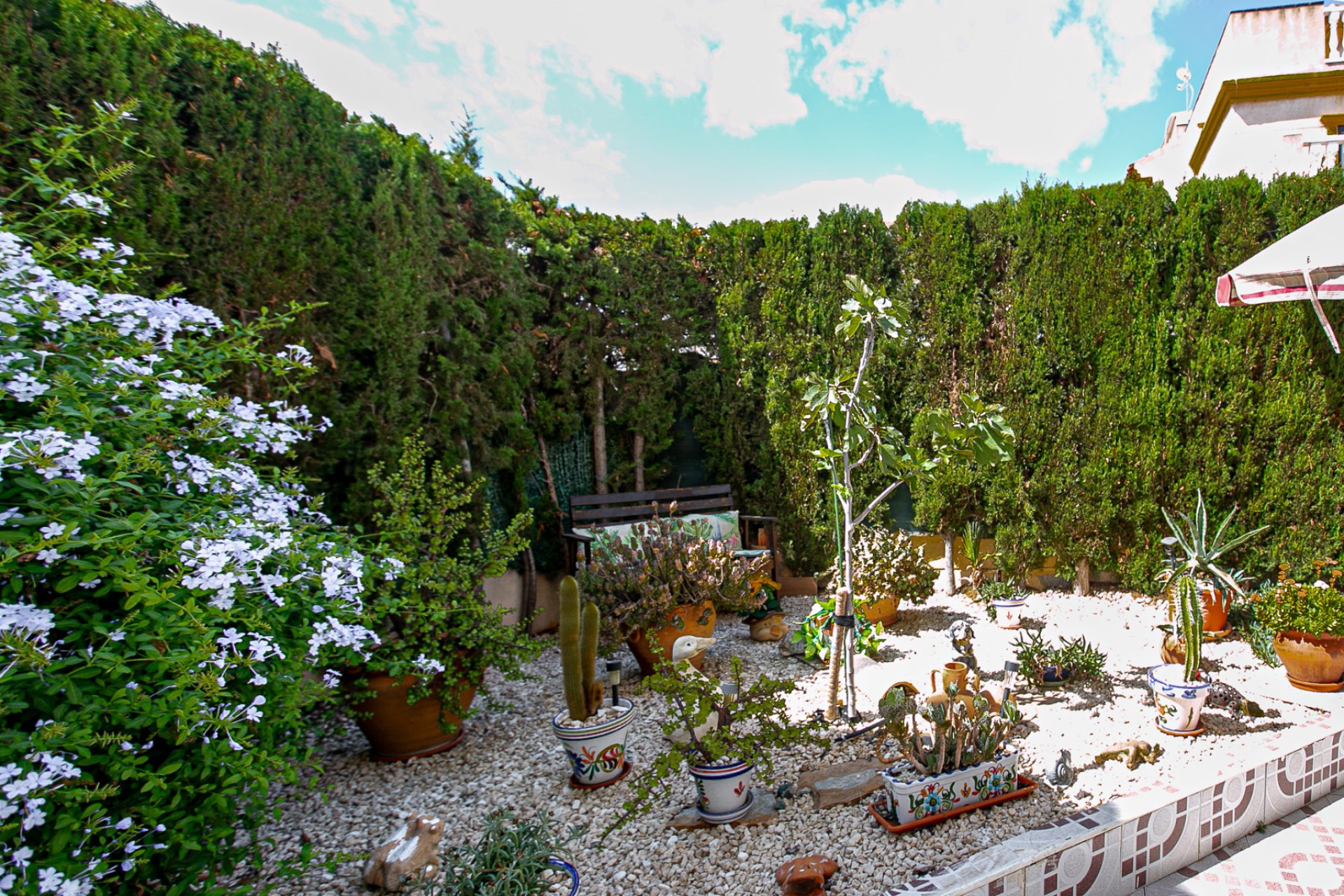 Resale - Apartment -
Playa Flamenca