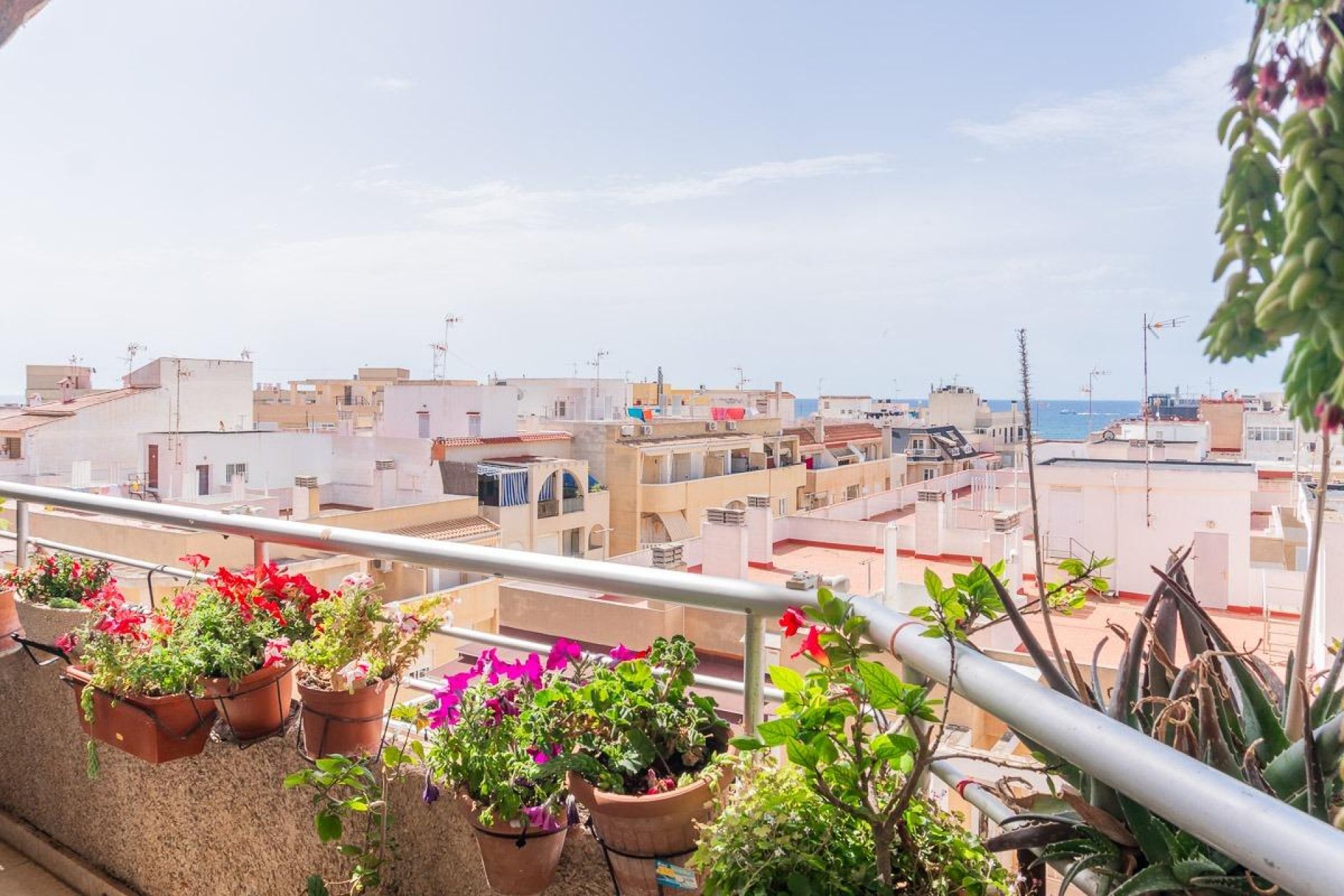 Resale - Apartment -
Torrevieja - Curva del Palangre