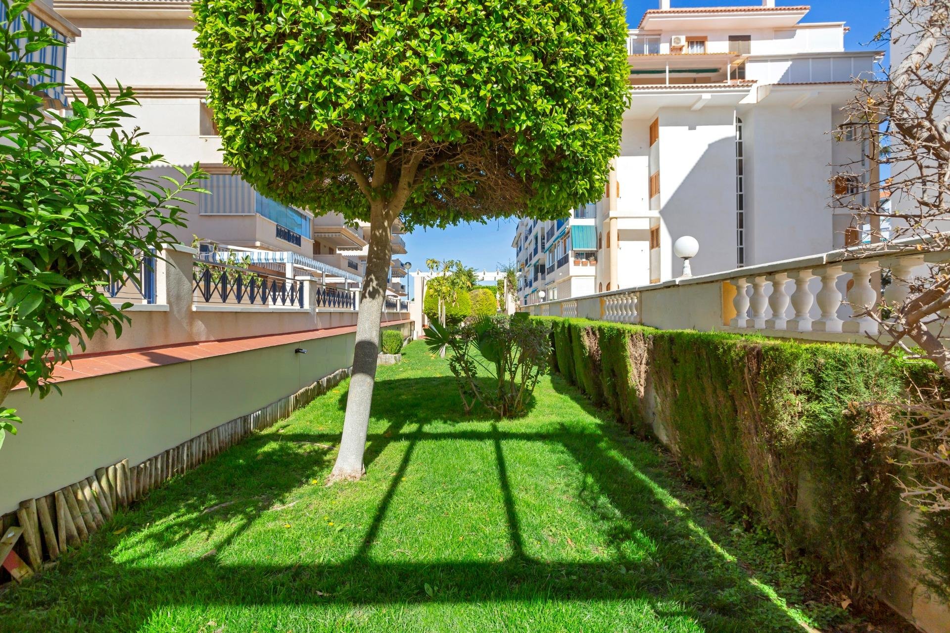 Resale - Apartment -
Torrevieja - La Mata