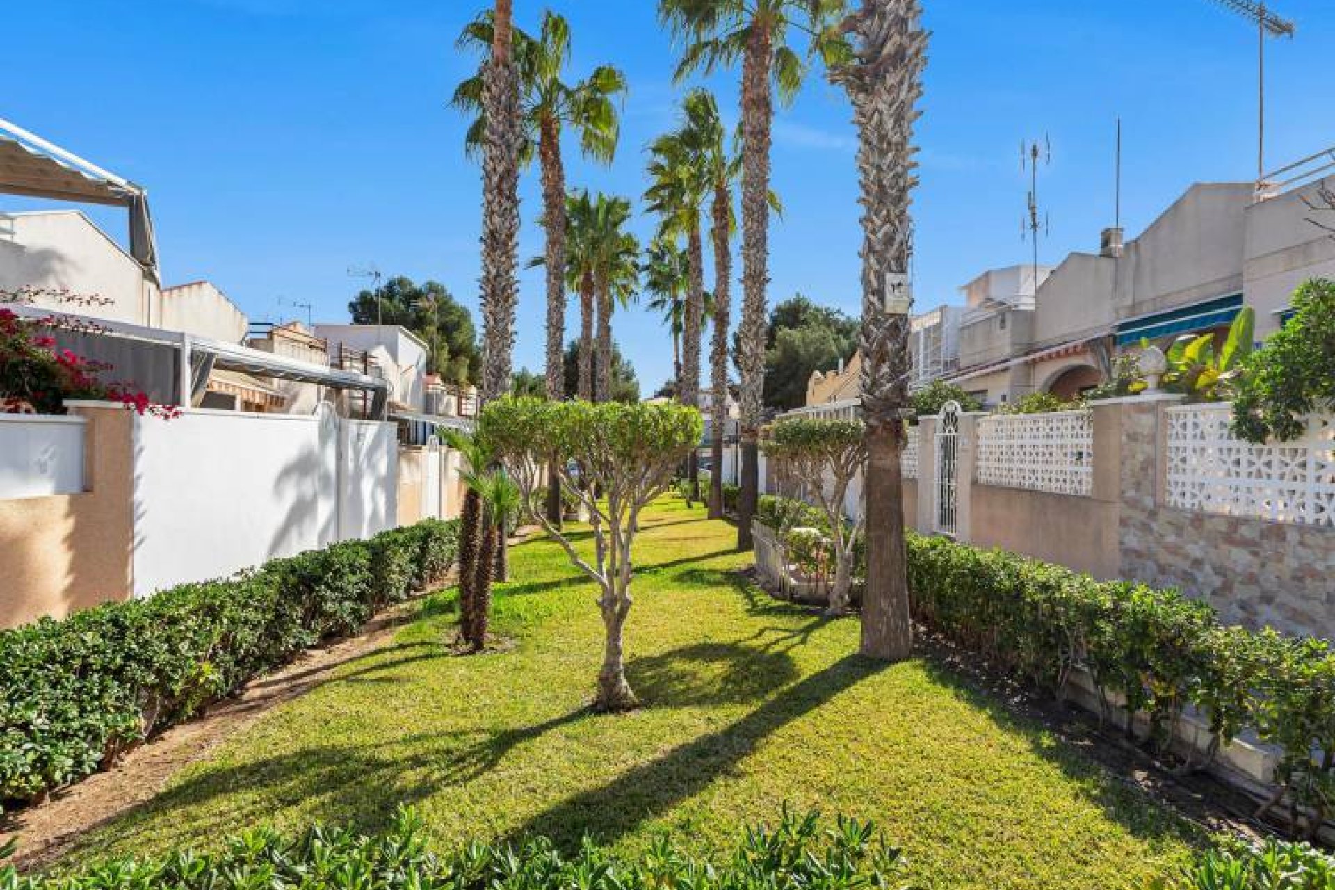 Resale - Apartment -
Torrevieja - Lago jardin