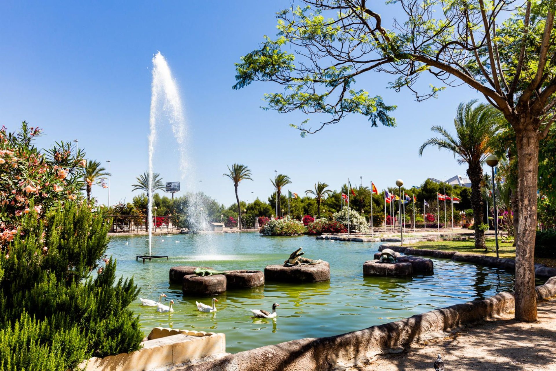 Resale - Apartment -
Torrevieja - Parque las naciones