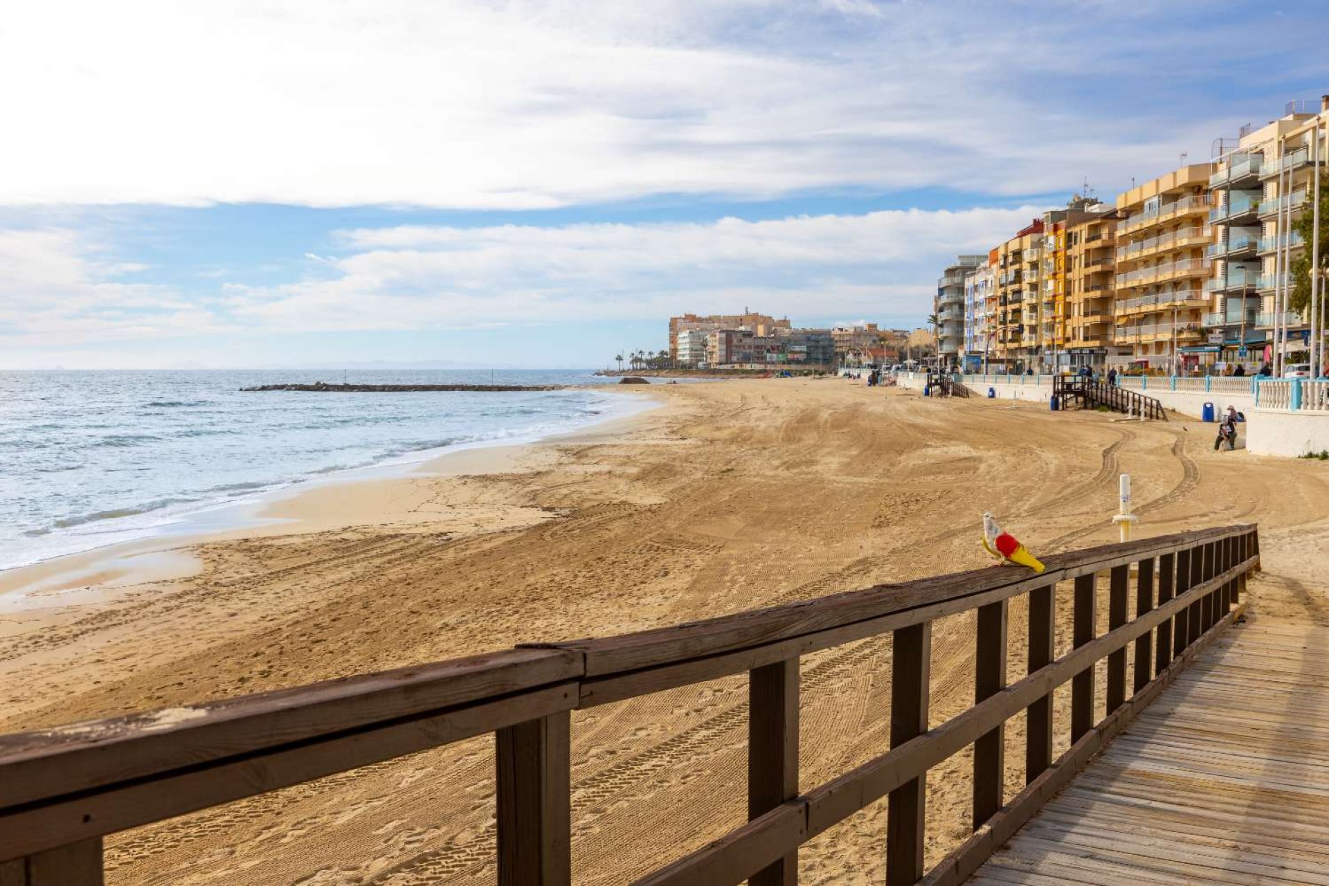 Resale - Apartment -
Torrevieja - Playa de los Locos