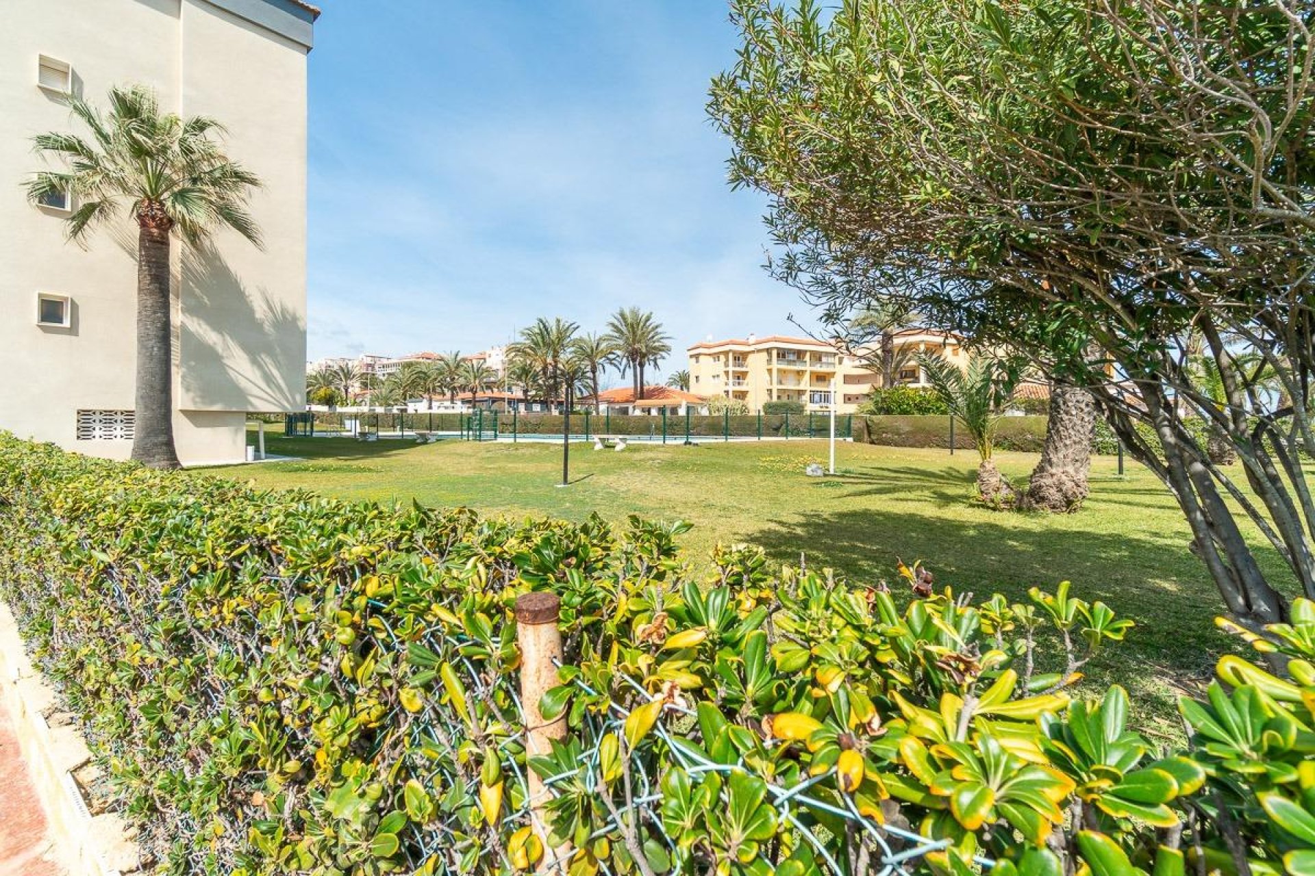 Resale - Apartment -
Torrevieja - Rocio del mar