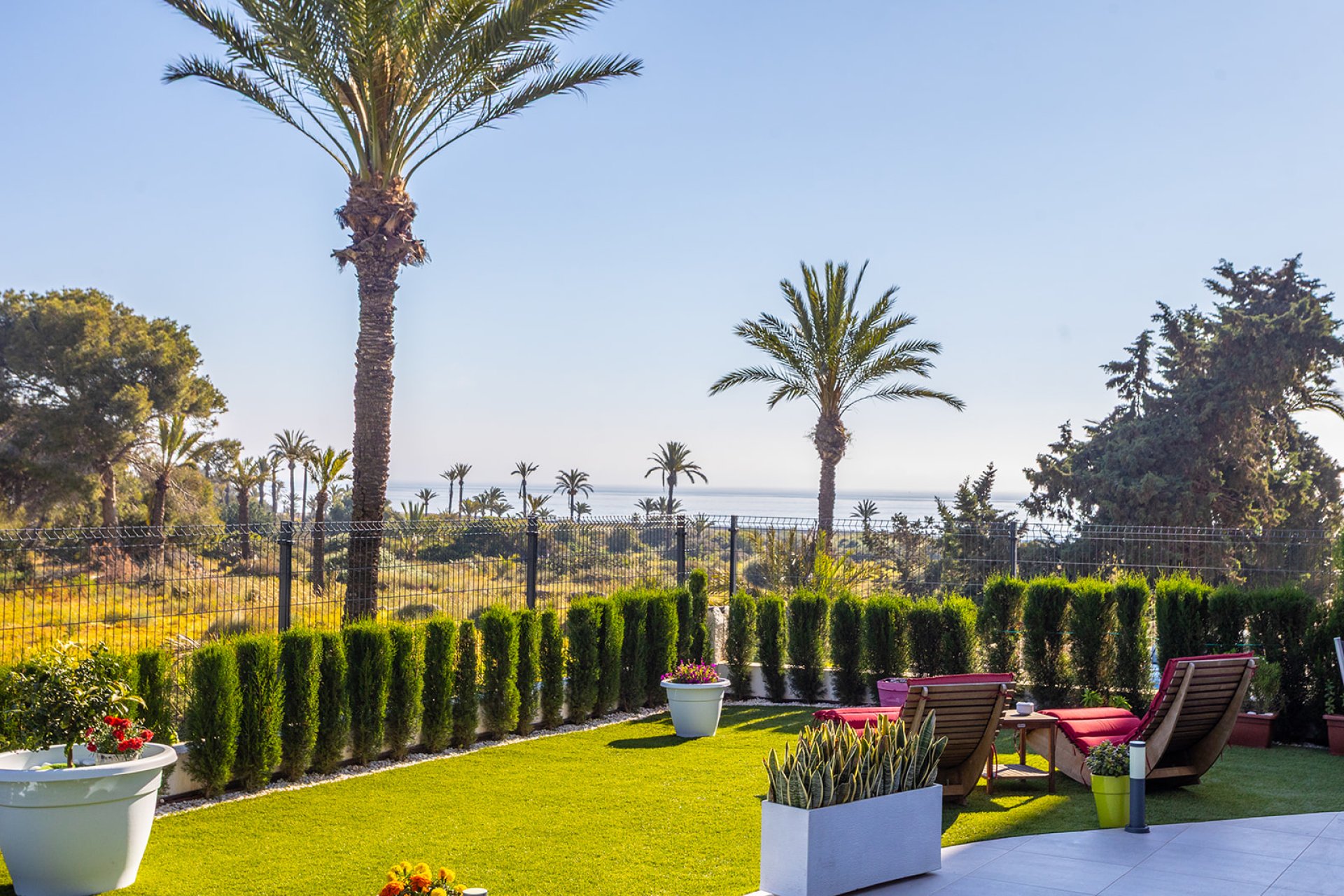 Resale - Apartment -
Torrevieja - Rocio del mar