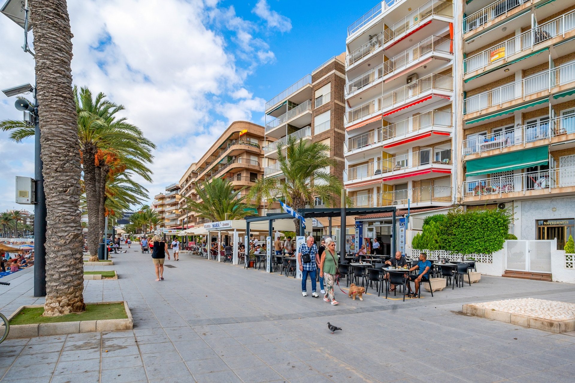 Resale - Apartment -
Torrevieja