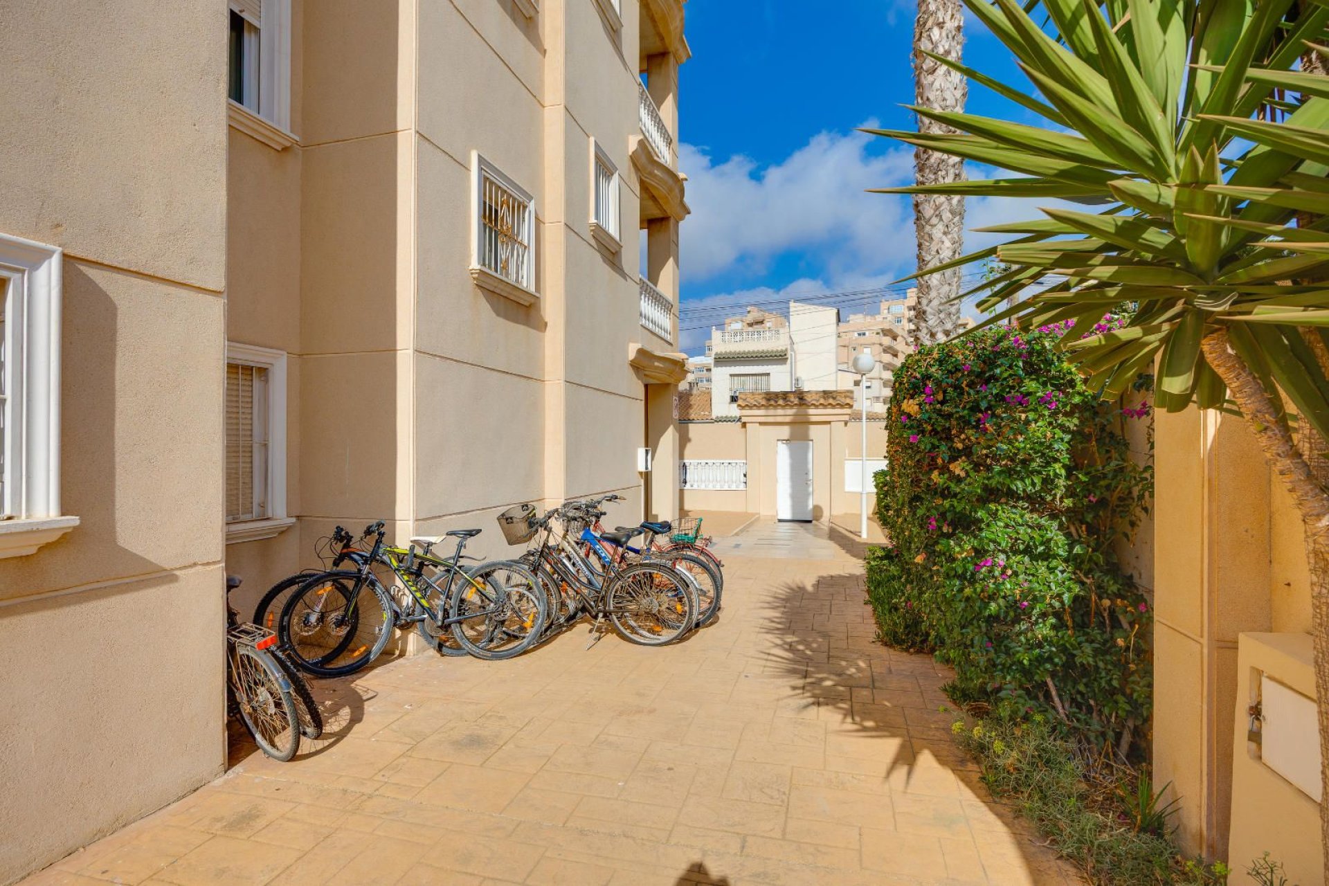 Resale - Apartment -
Torrevieja