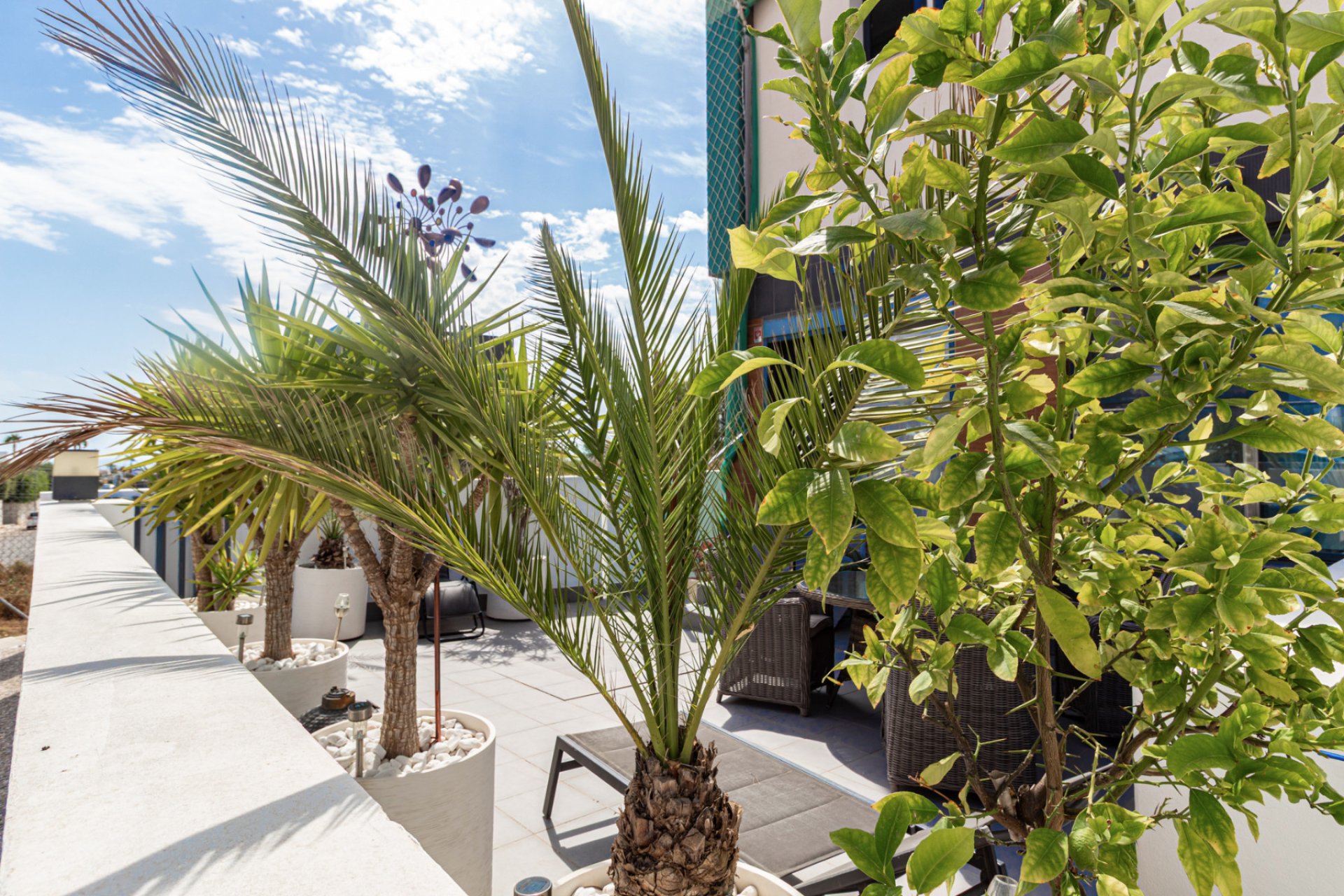 Resale - Apartment -
Villamartin - Villacosta
