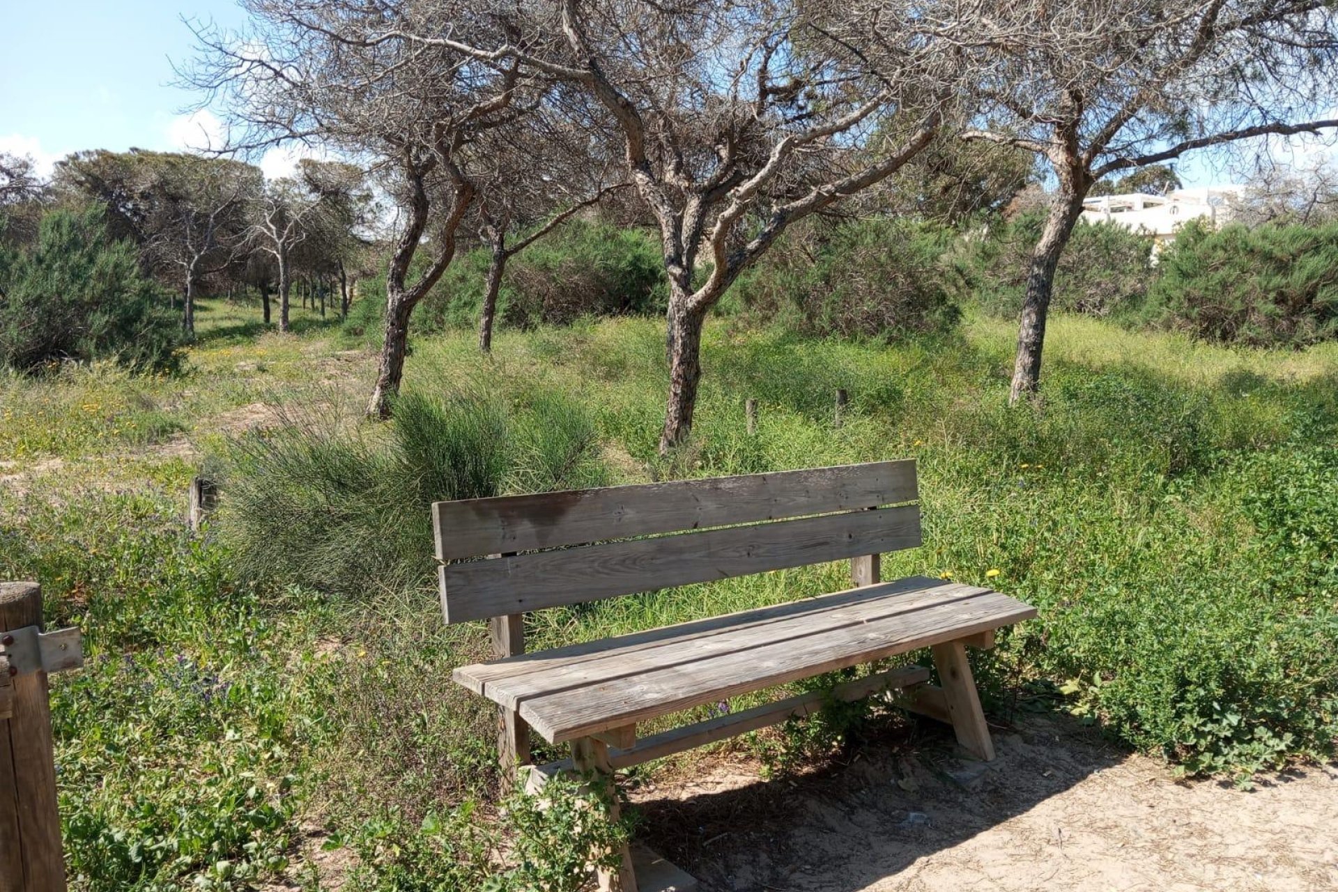 Resale - Bungalow -
Guardamar del Segura - Urbanizaciones