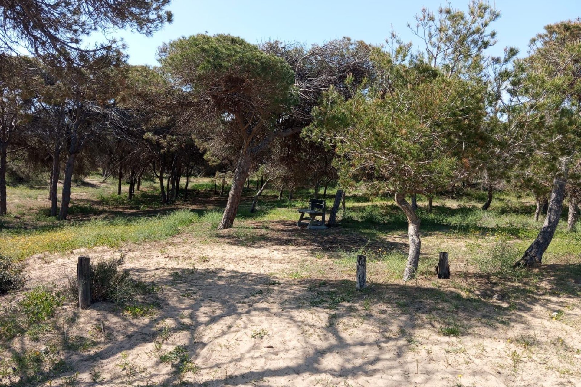 Resale - Bungalow -
Guardamar del Segura - Urbanizaciones