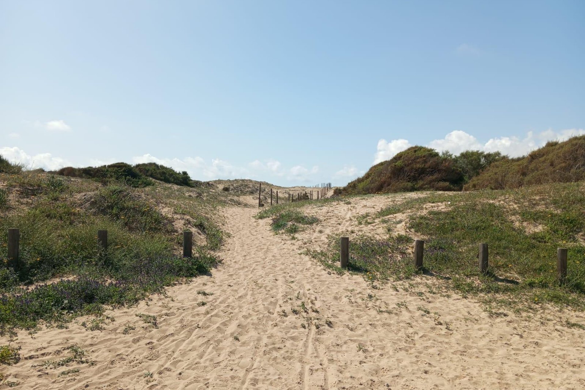 Resale - Bungalow -
Guardamar del Segura - Urbanizaciones