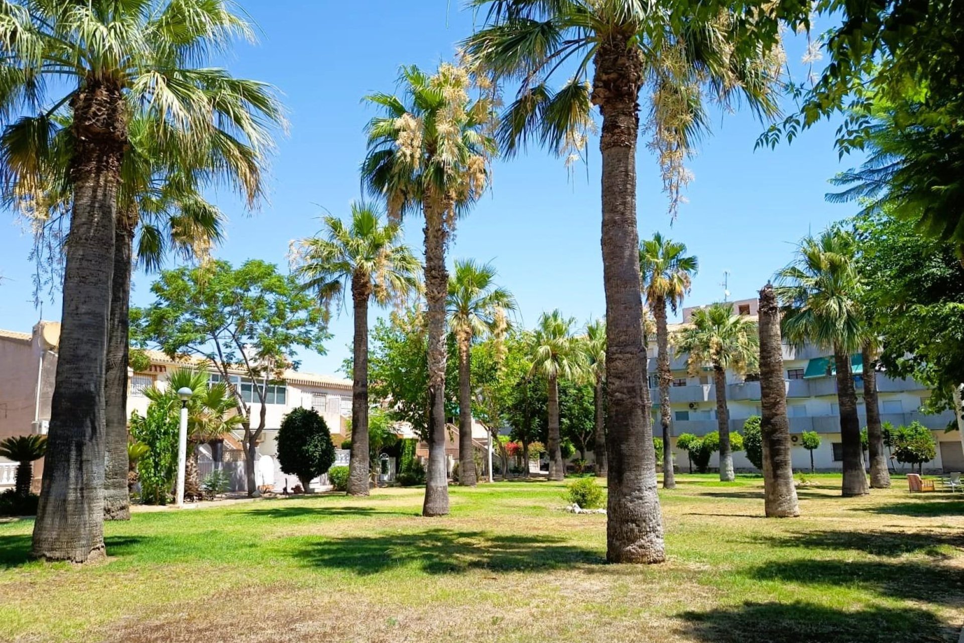 Resale - Bungalow -
Orihuela Costa - La Regia