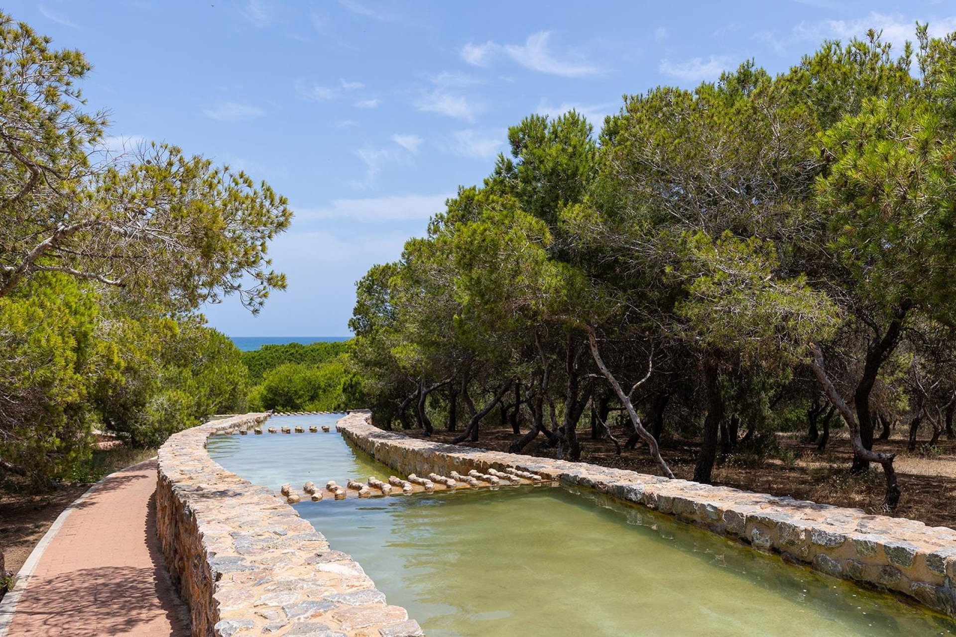 Resale - Bungalow -
Torrevieja - La Mata