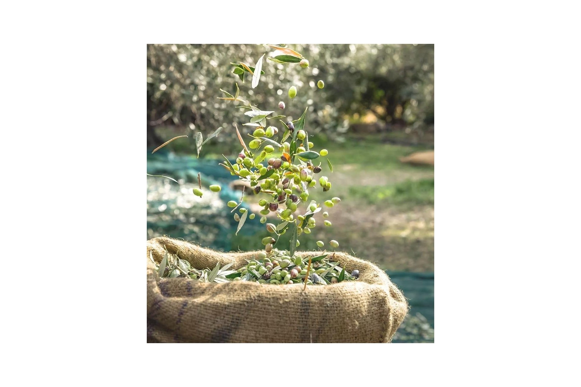 Resale - Commercial Unit -
Puerto Lumbreras - Nogalte