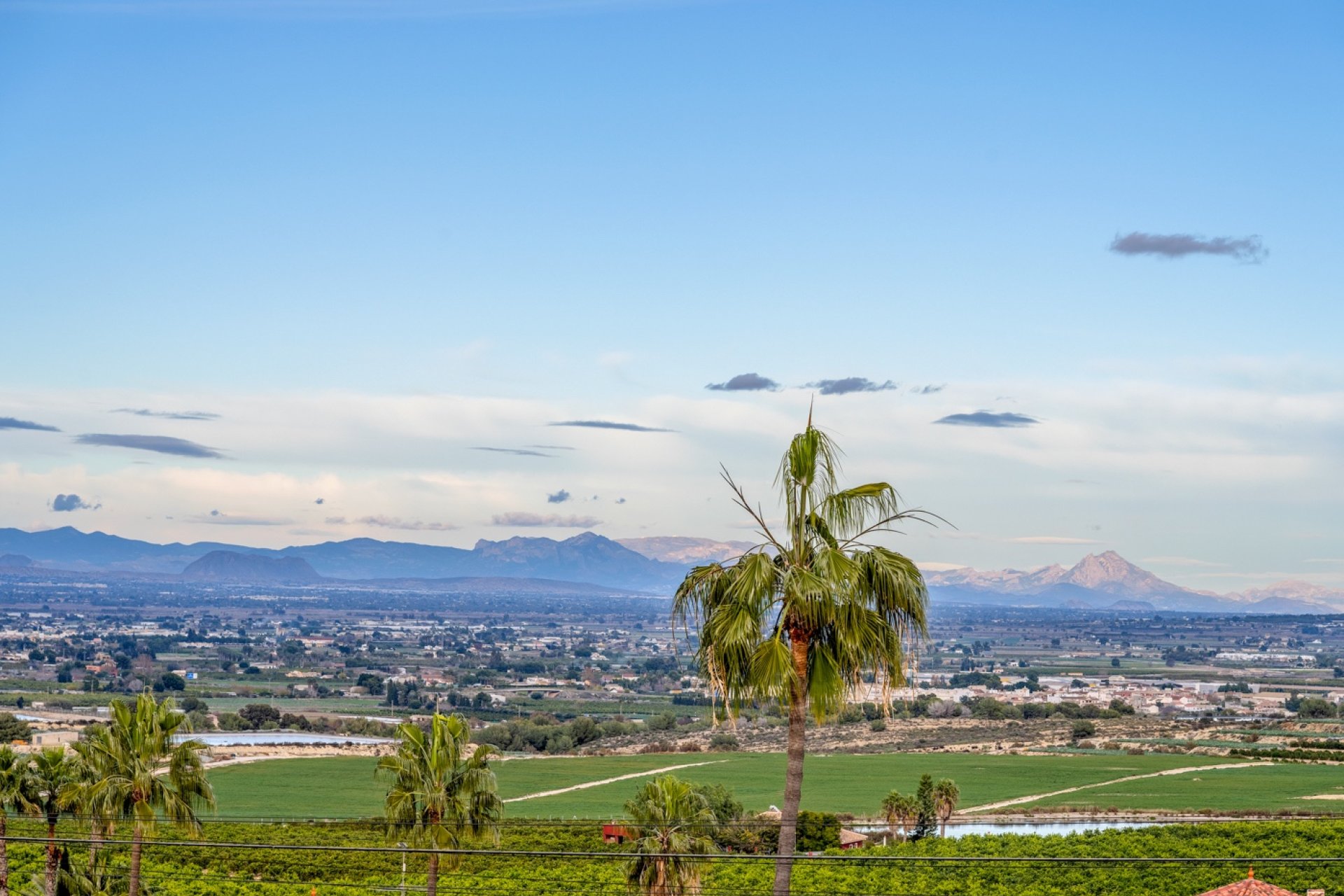 Resale - Detached villa -
Algorfa - Lomas De La Juliana