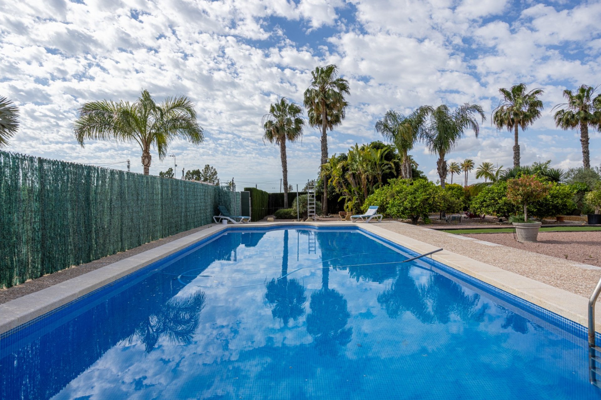 Resale - Detached villa -
Elche - La Hoya