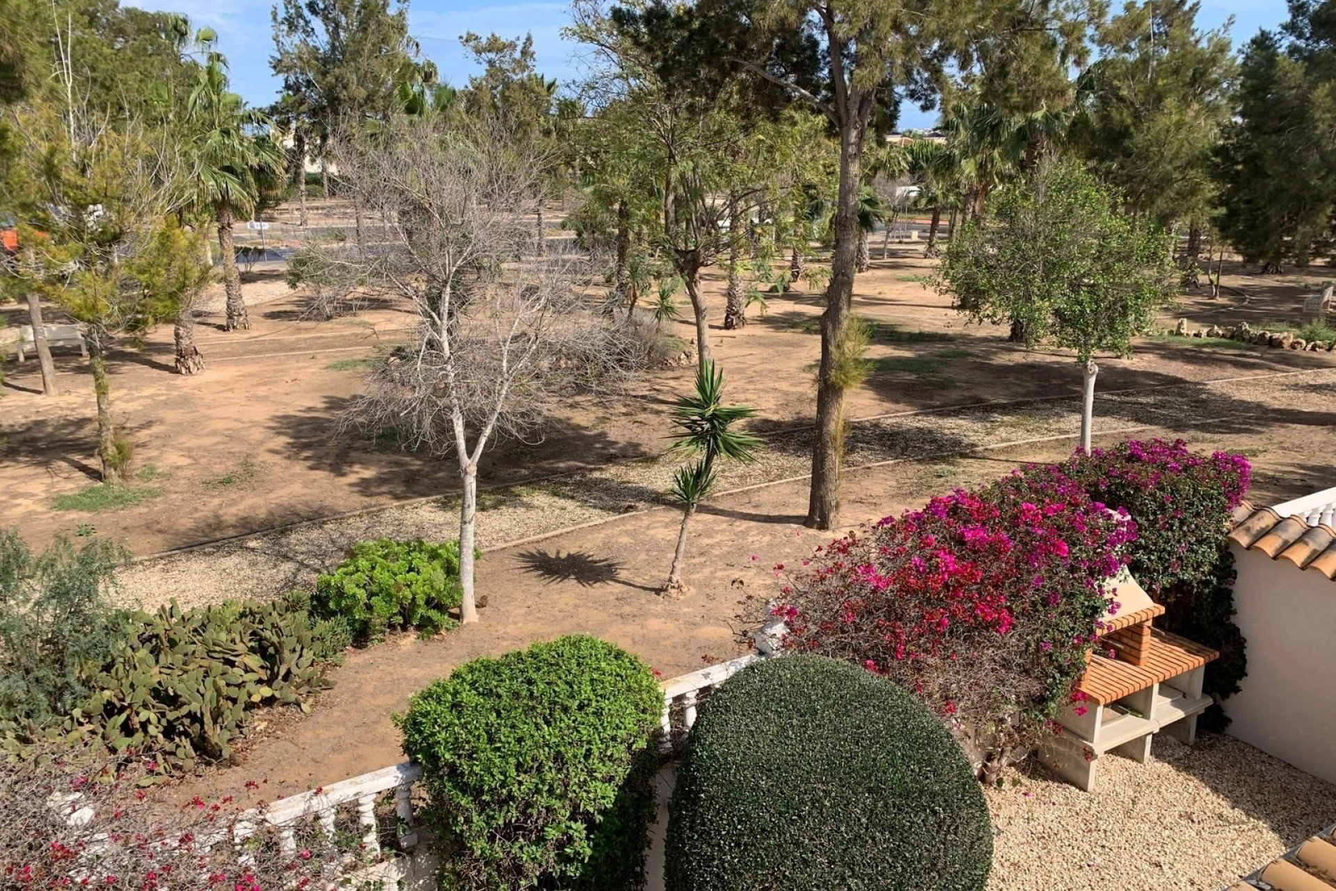 Resale - Detached villa -
Guardamar del Segura - El Raso