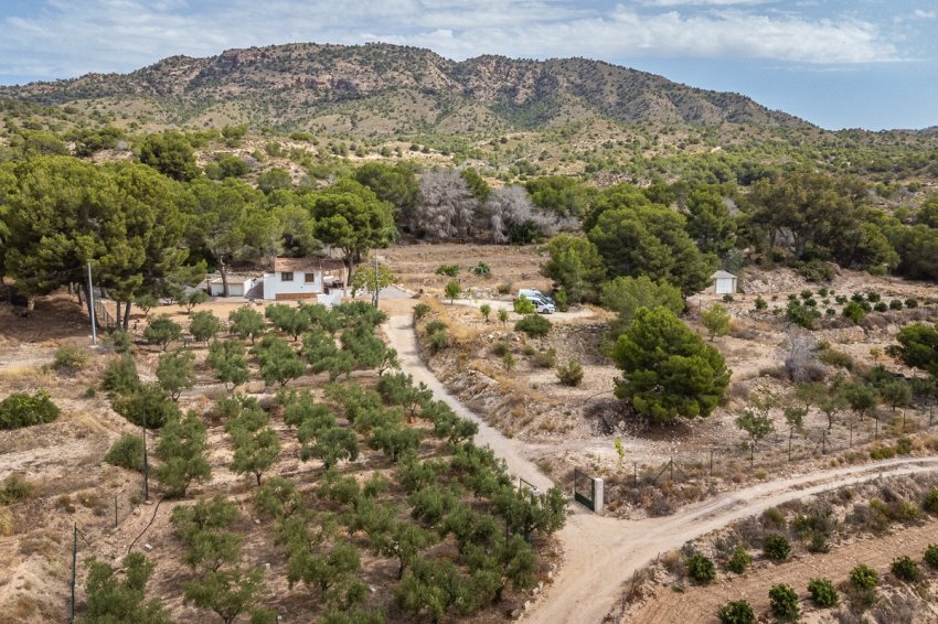 Resale - Detached villa -
LA TERCIA - La Tercia