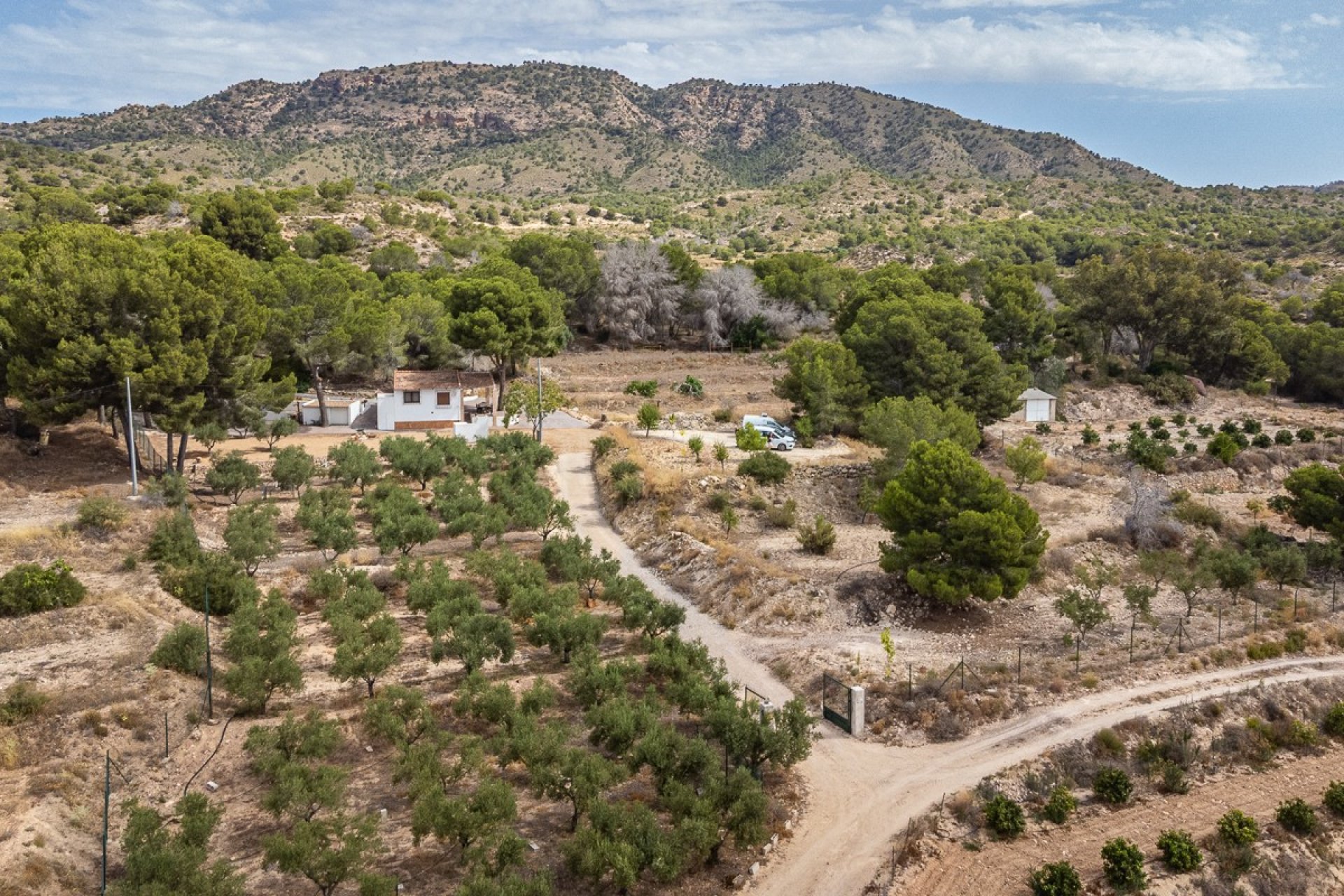 Resale - Detached villa -
LA TERCIA - La Tercia