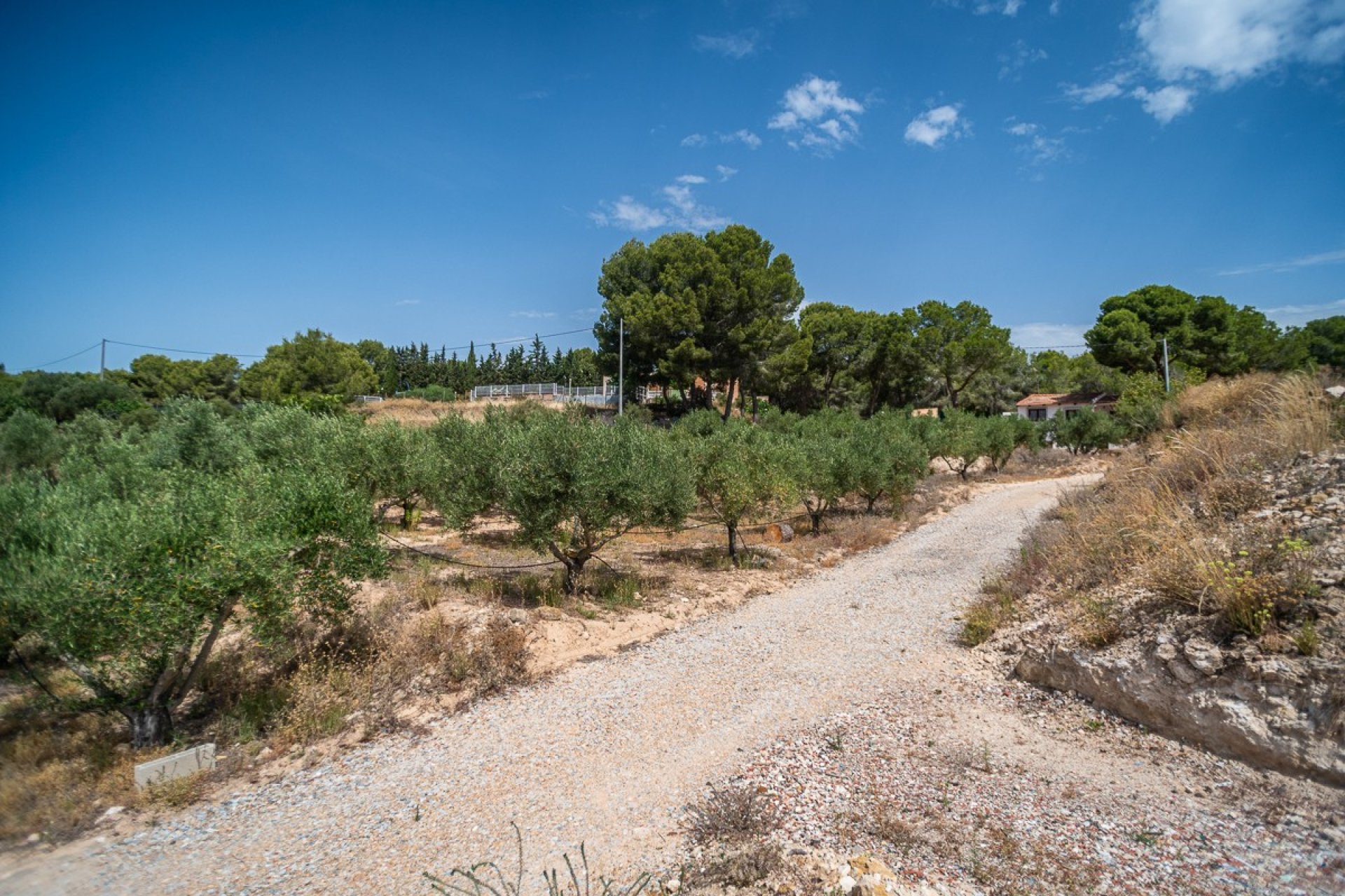Resale - Detached villa -
LA TERCIA - La Tercia