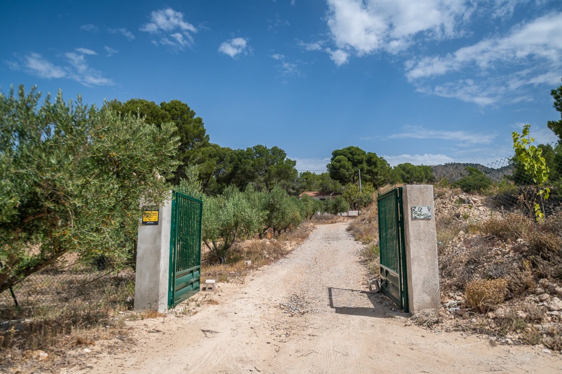 Resale - Detached villa -
LA TERCIA - La Tercia