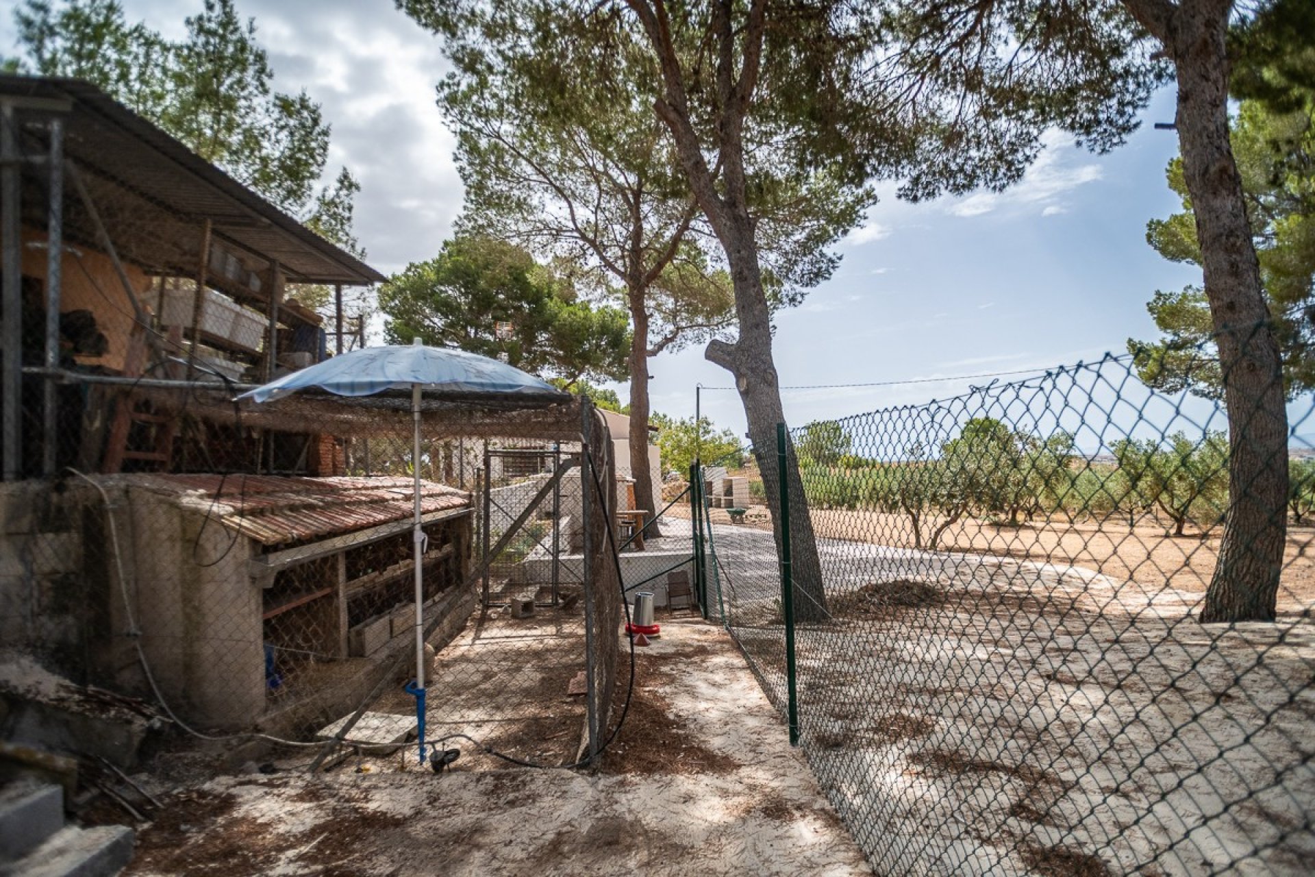 Resale - Detached villa -
LA TERCIA - La Tercia