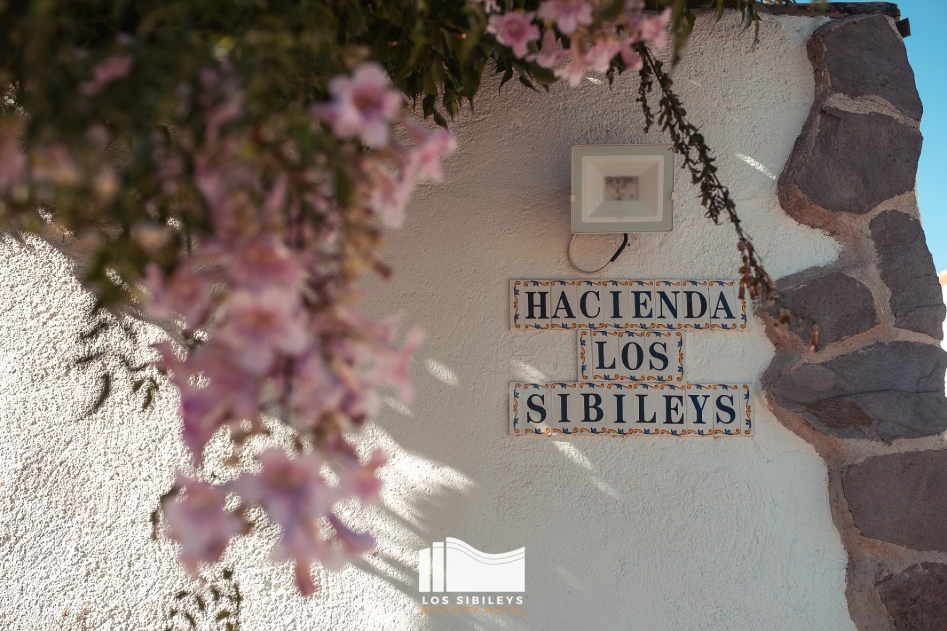 Resale - Detached villa -
Lorca