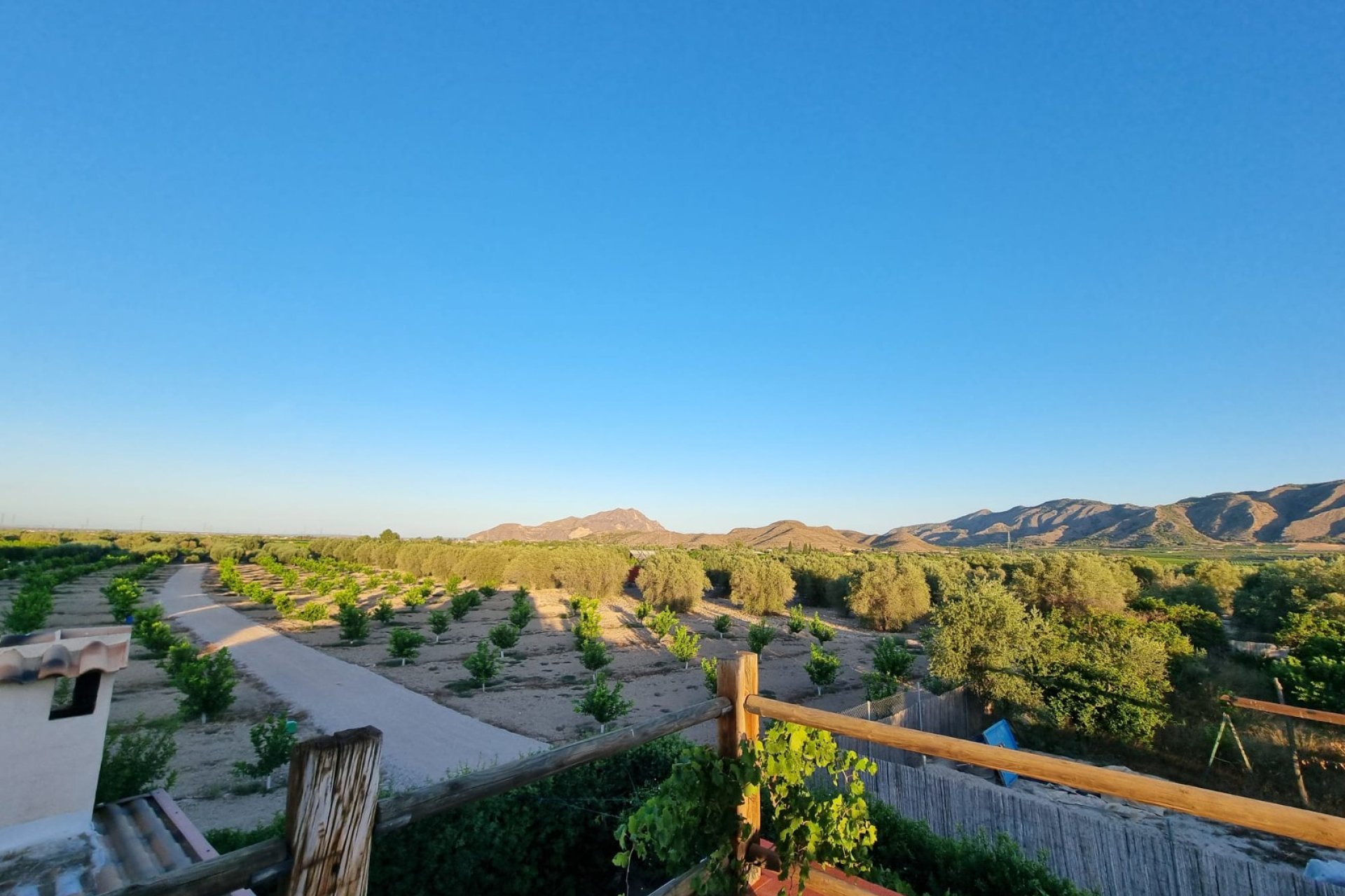 Resale - Detached villa -
Orihuela - Benferri