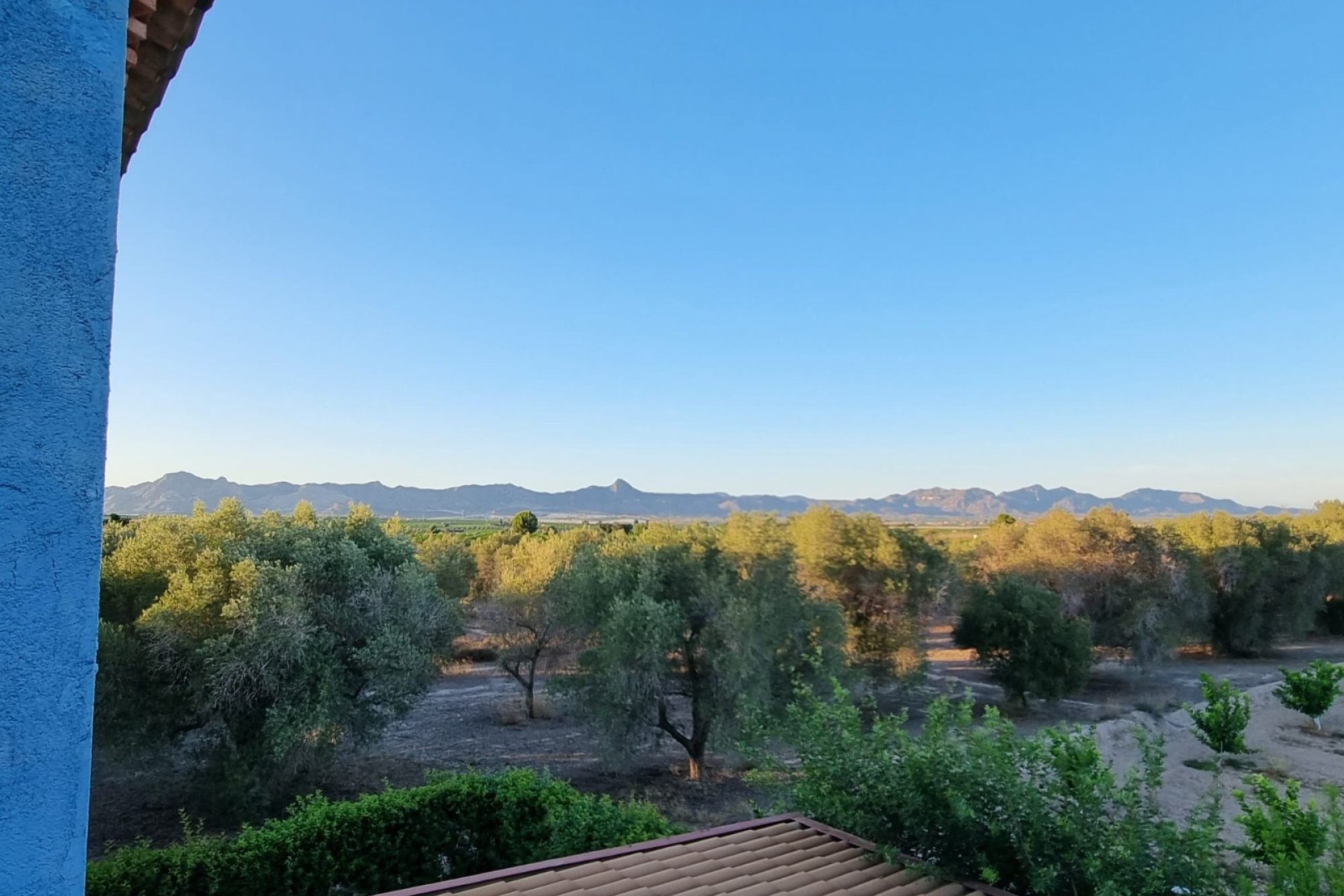 Resale - Detached villa -
Orihuela - Benferri