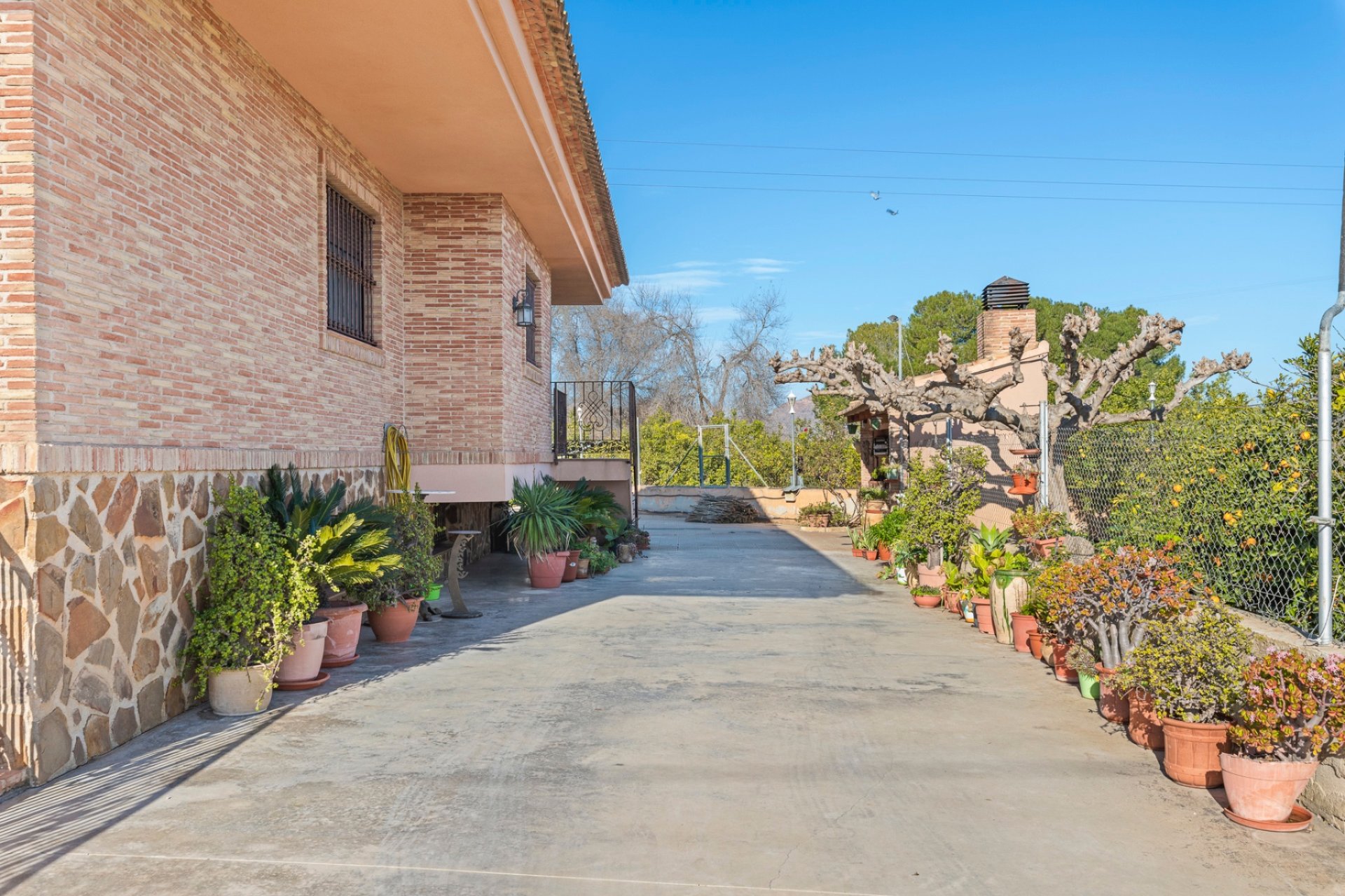 Resale - Finca -
Beniel - Carretera de Beniel