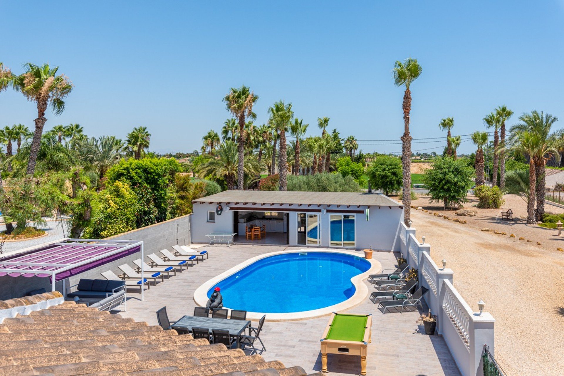 Resale - Finca -
Catral