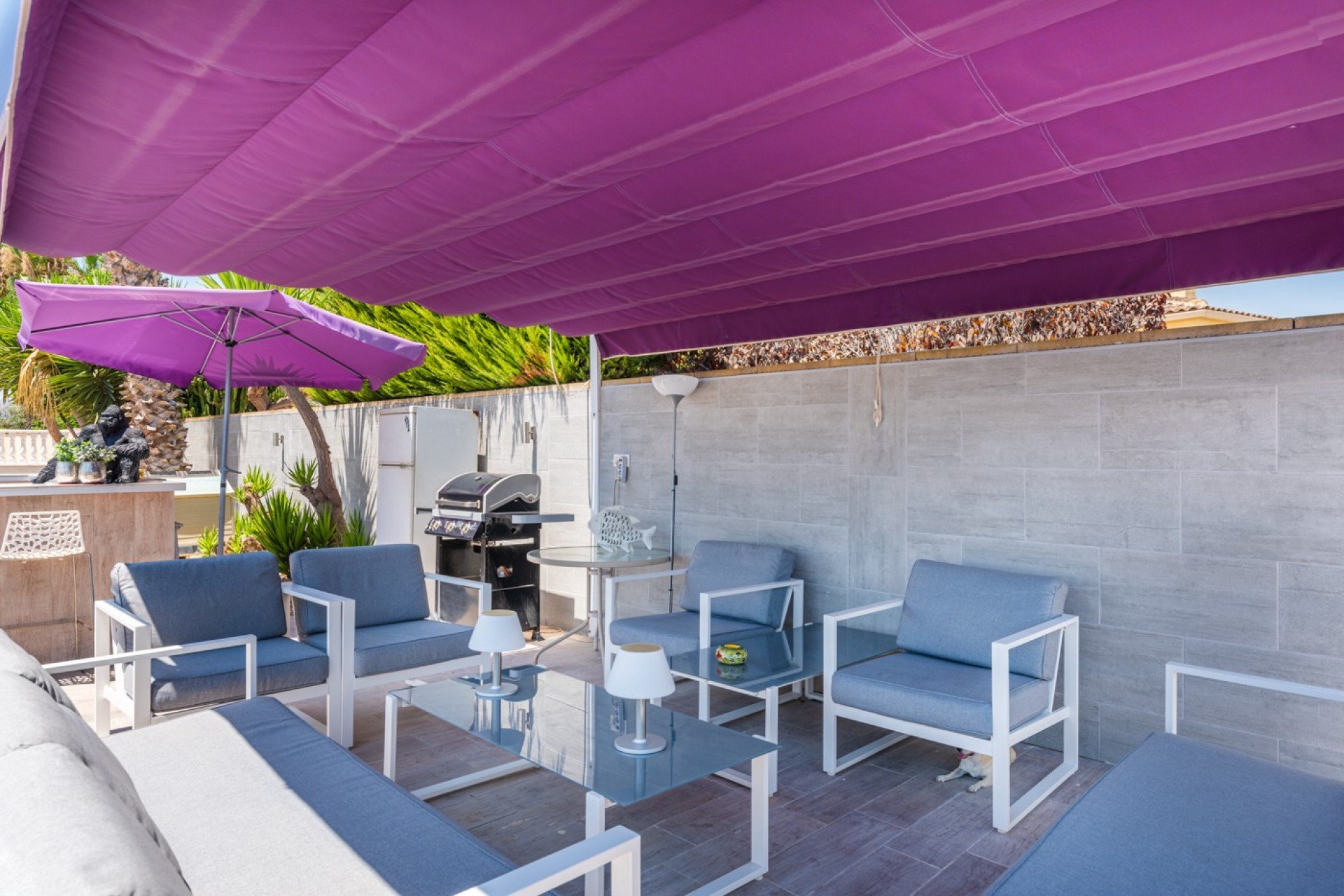 Resale - Finca -
Catral