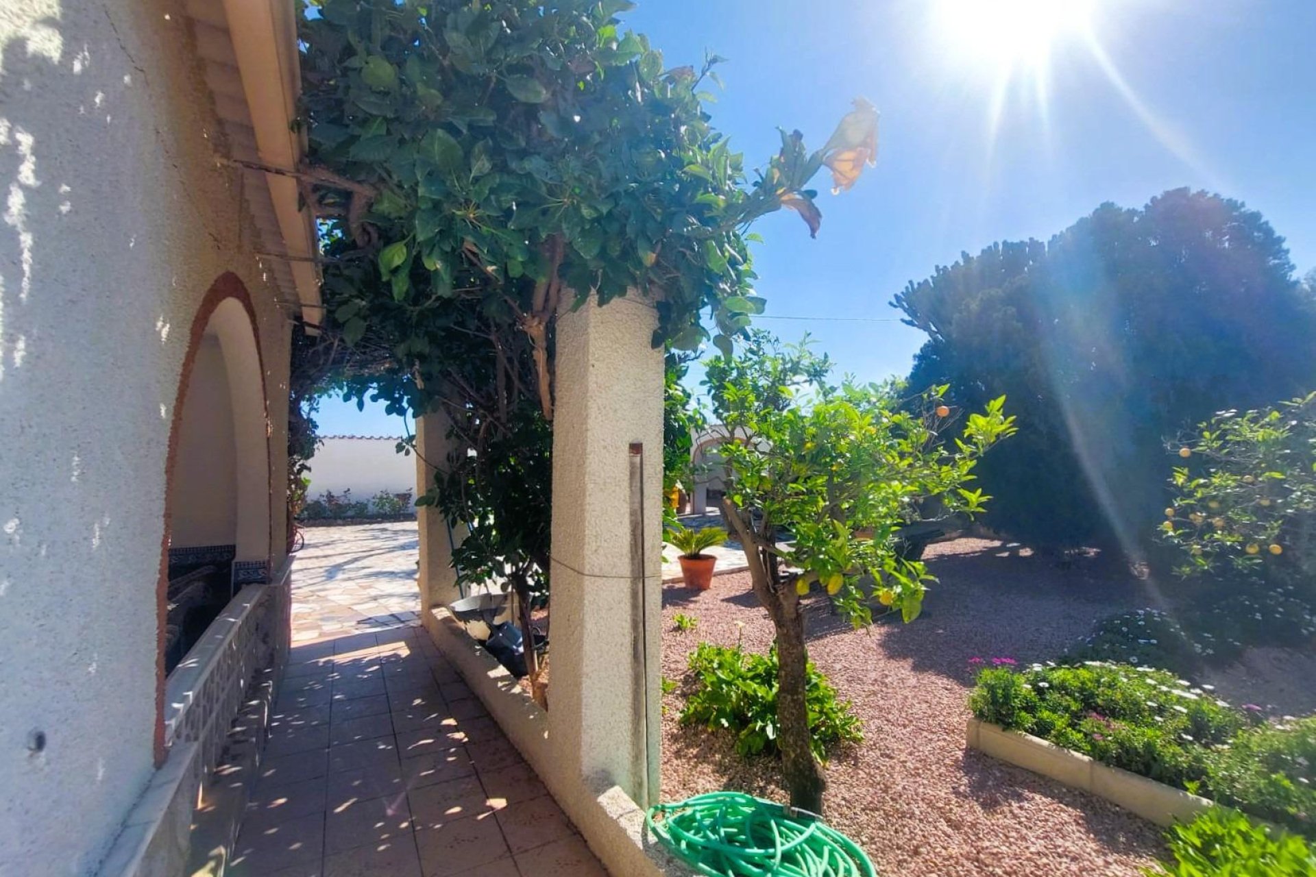 Resale - Finca -
La Marina