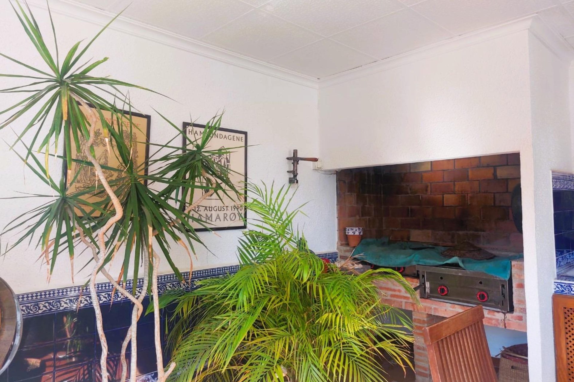 Resale - Finca -
La Marina