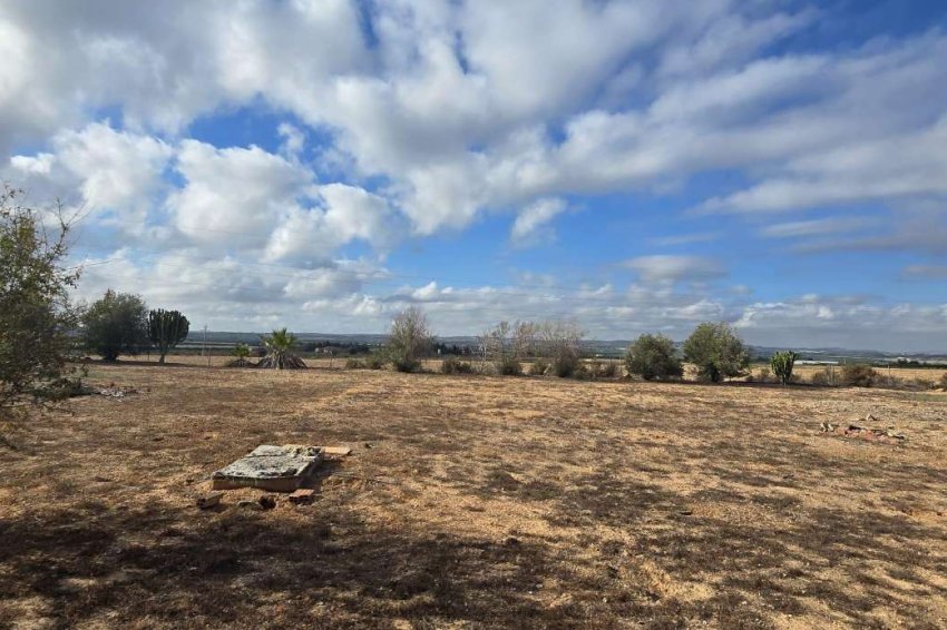 Resale - Finca -
Los Montesinos